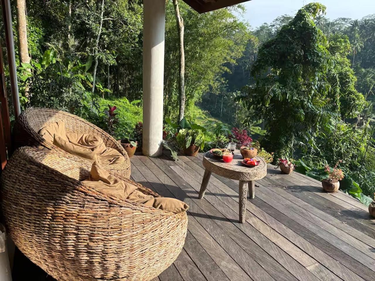 The Jungle Nook by Harmony Hill