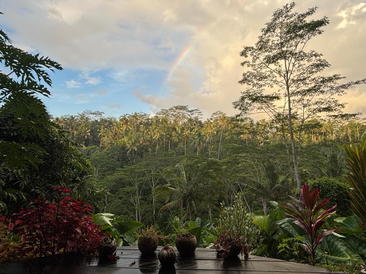 The Jungle Nook by Harmony Hill