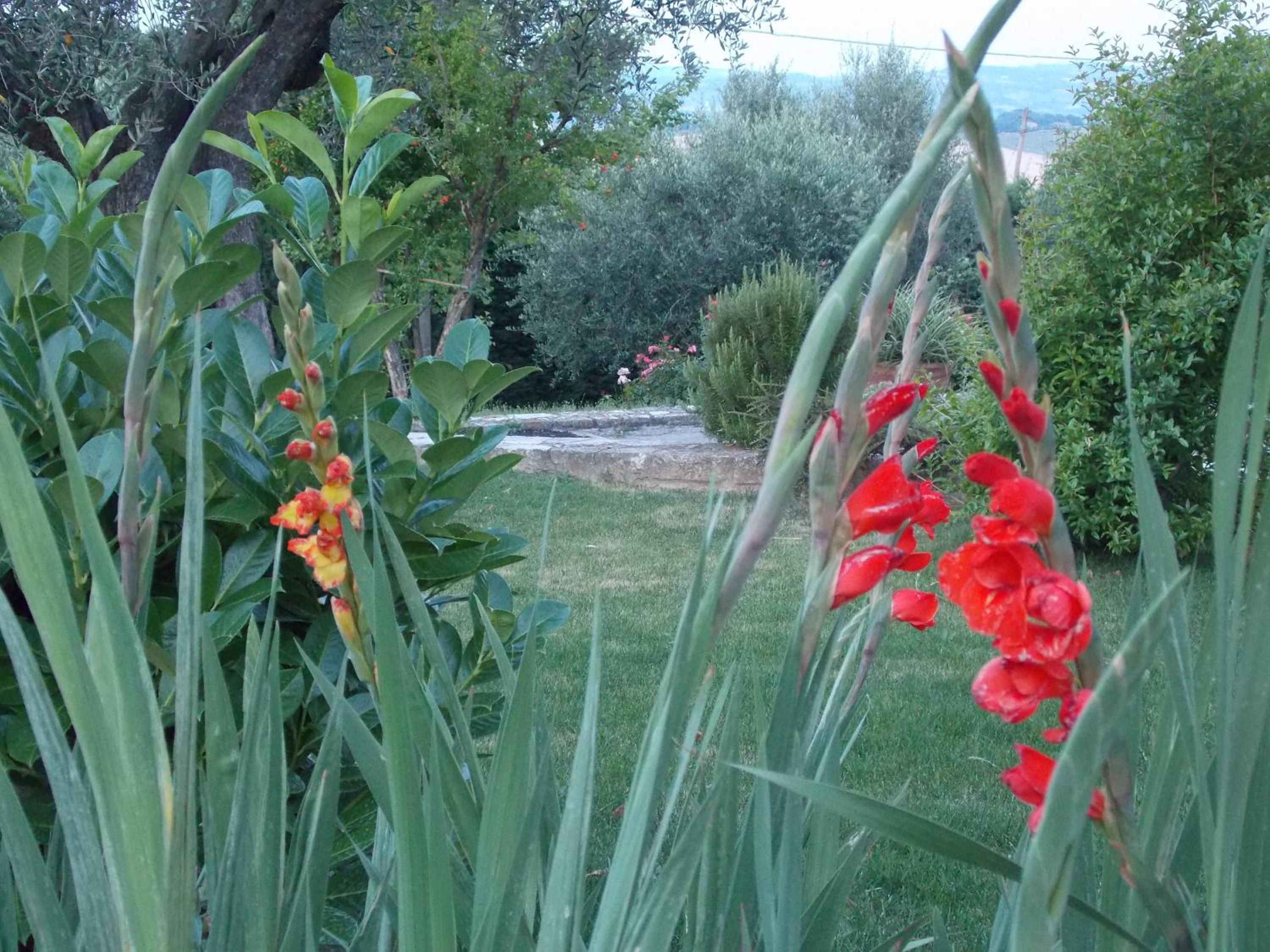 Photo 6