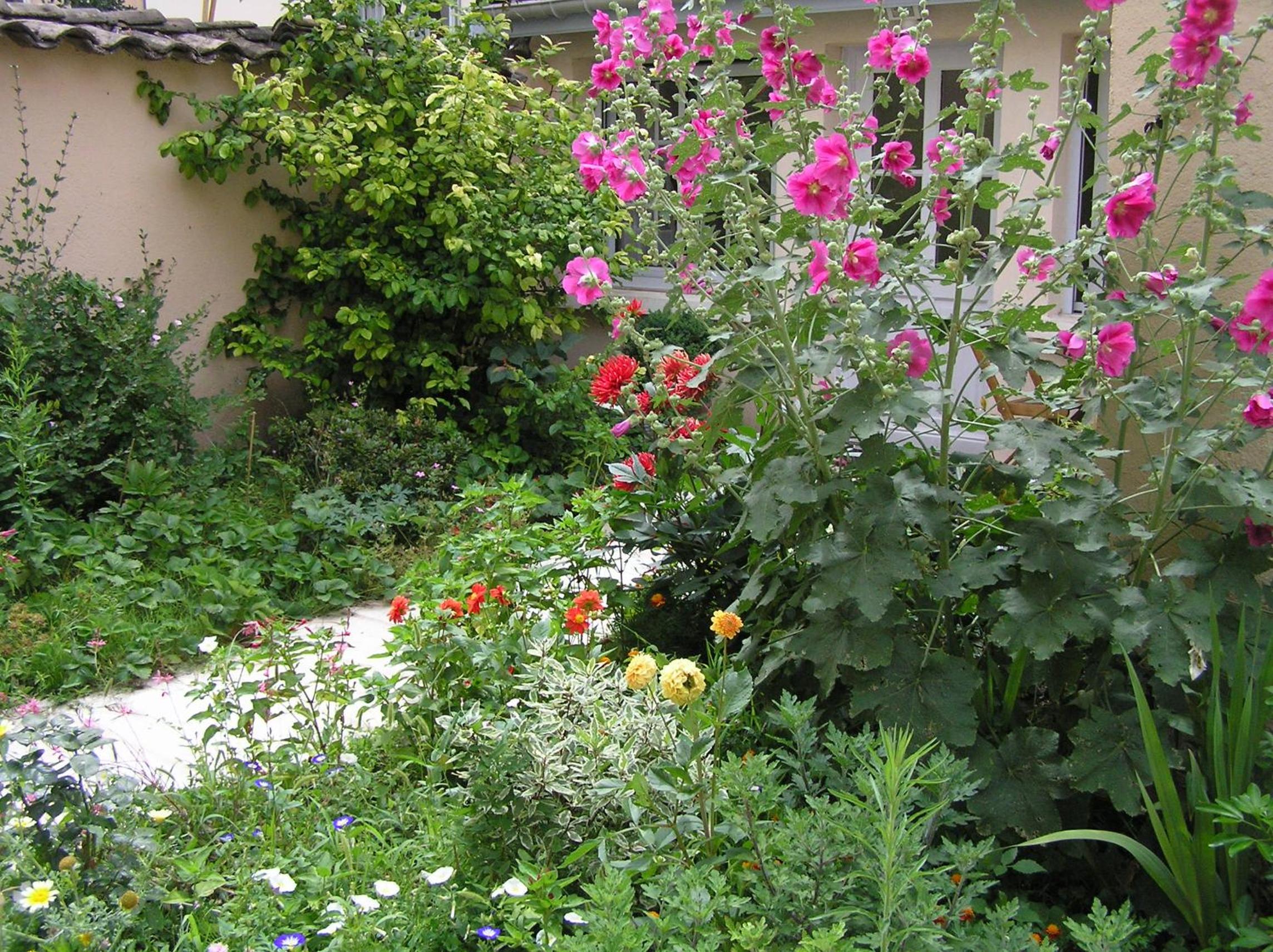 Photo 34