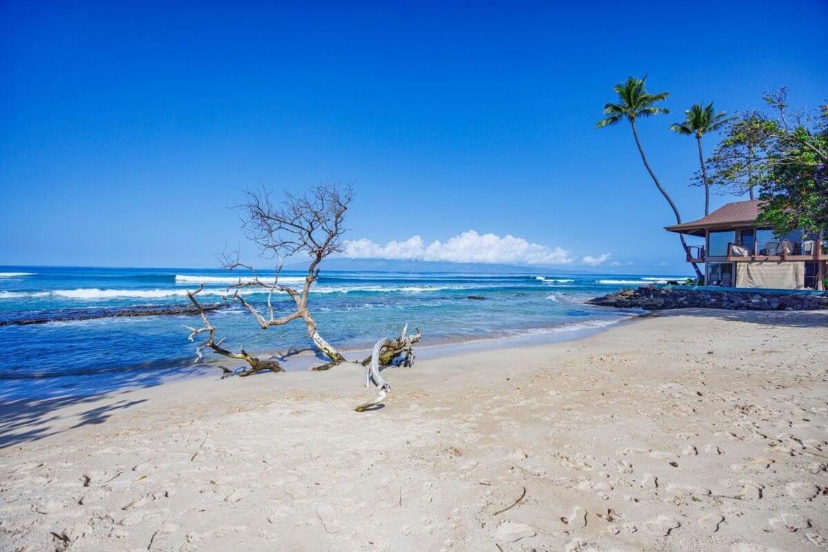 Hale Kai 110 · HKI 110 1BD Condo w Oceanviews and Oceanfront Poo