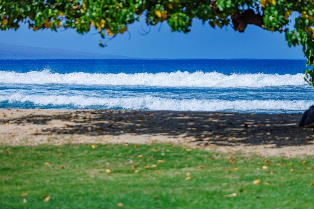 Hale Kai 110 · HKI 110 1BD Condo w Oceanviews and Oceanfront Poo