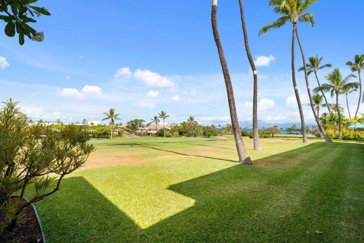 Eldorado A107 · EL A107 Remodeled Studio, Golf Course, Beach!