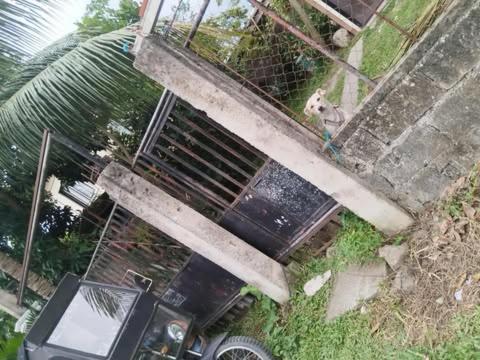 Homestay rooms or house for rent in a 3-bedroom subdivision house