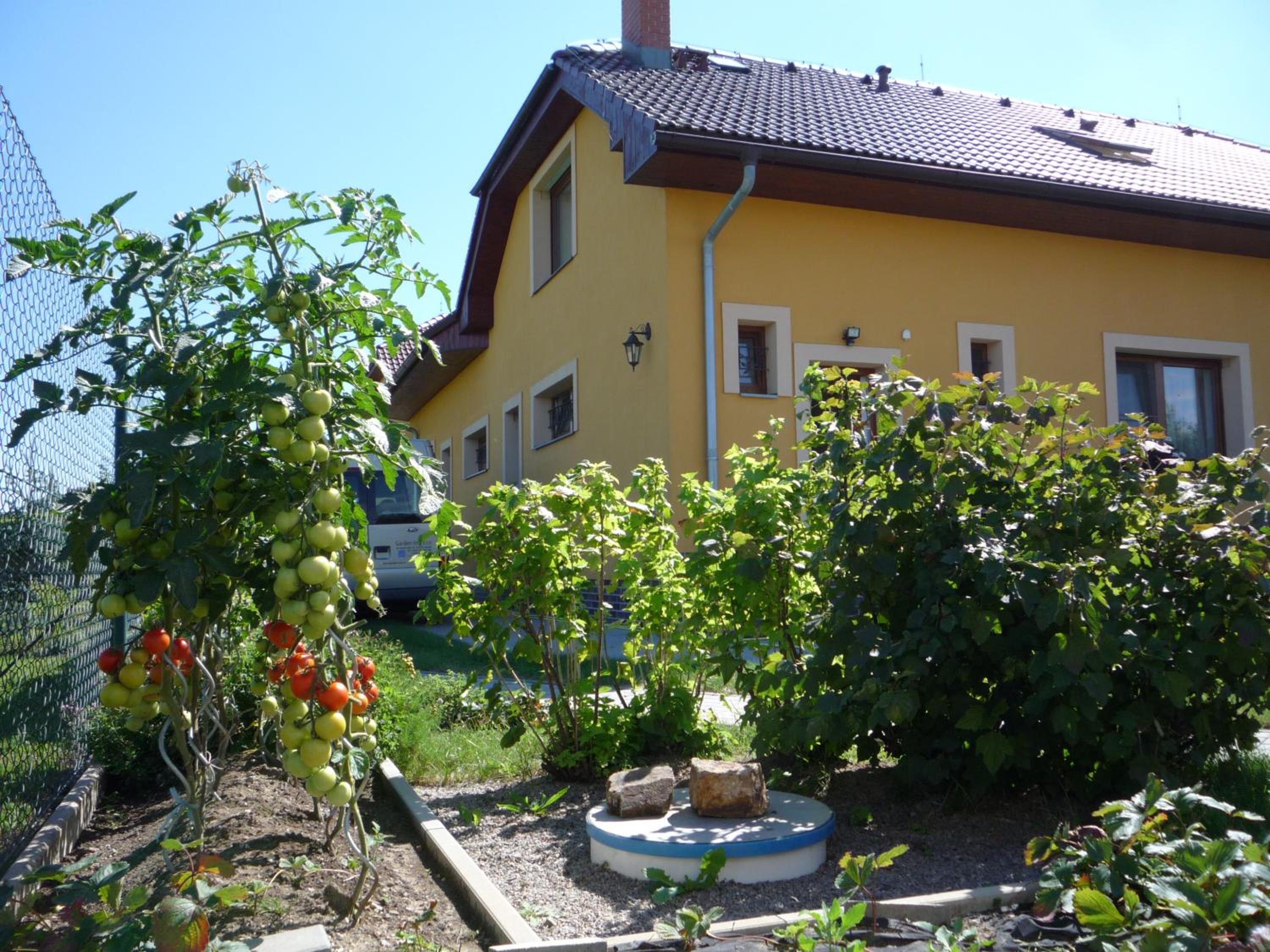 Photo 53