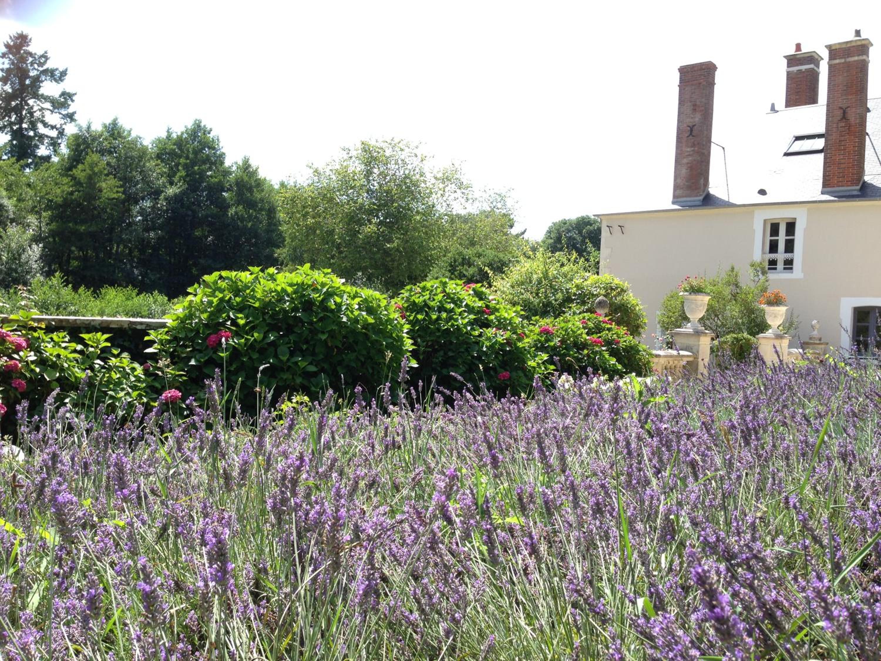 Chateau de Moison, Domaine Eco Nature