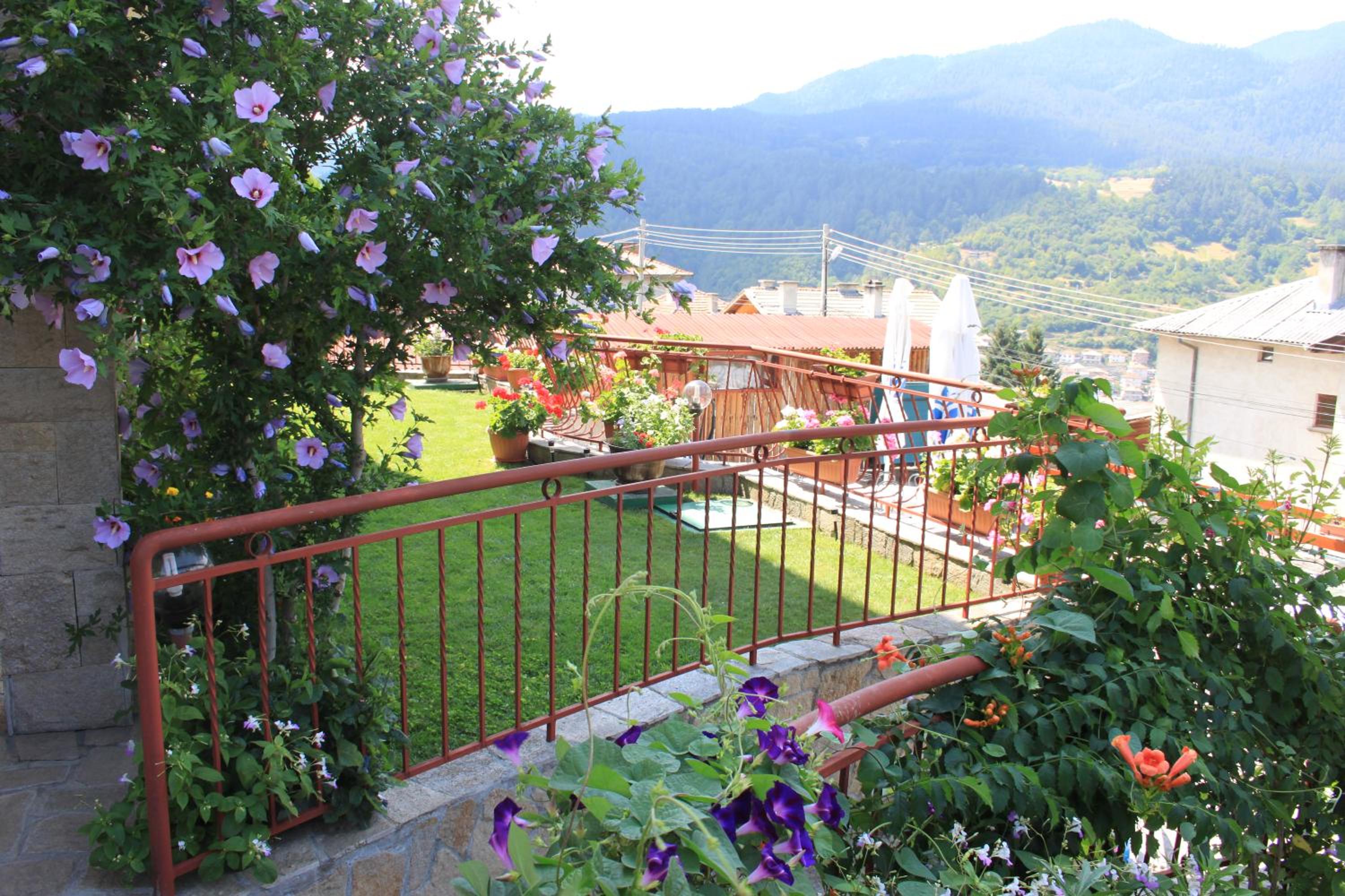 Kris Guest House