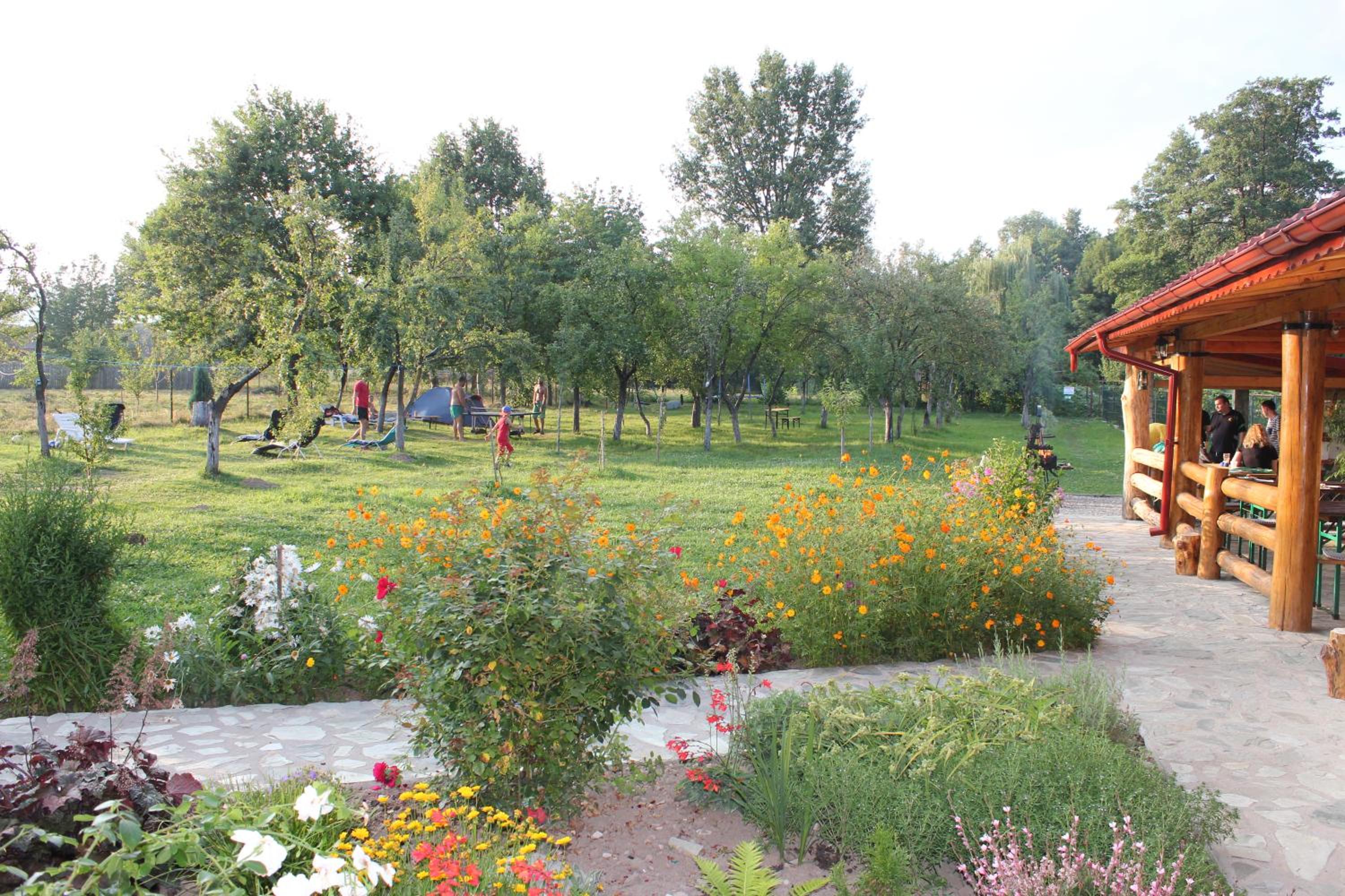 Photo 20