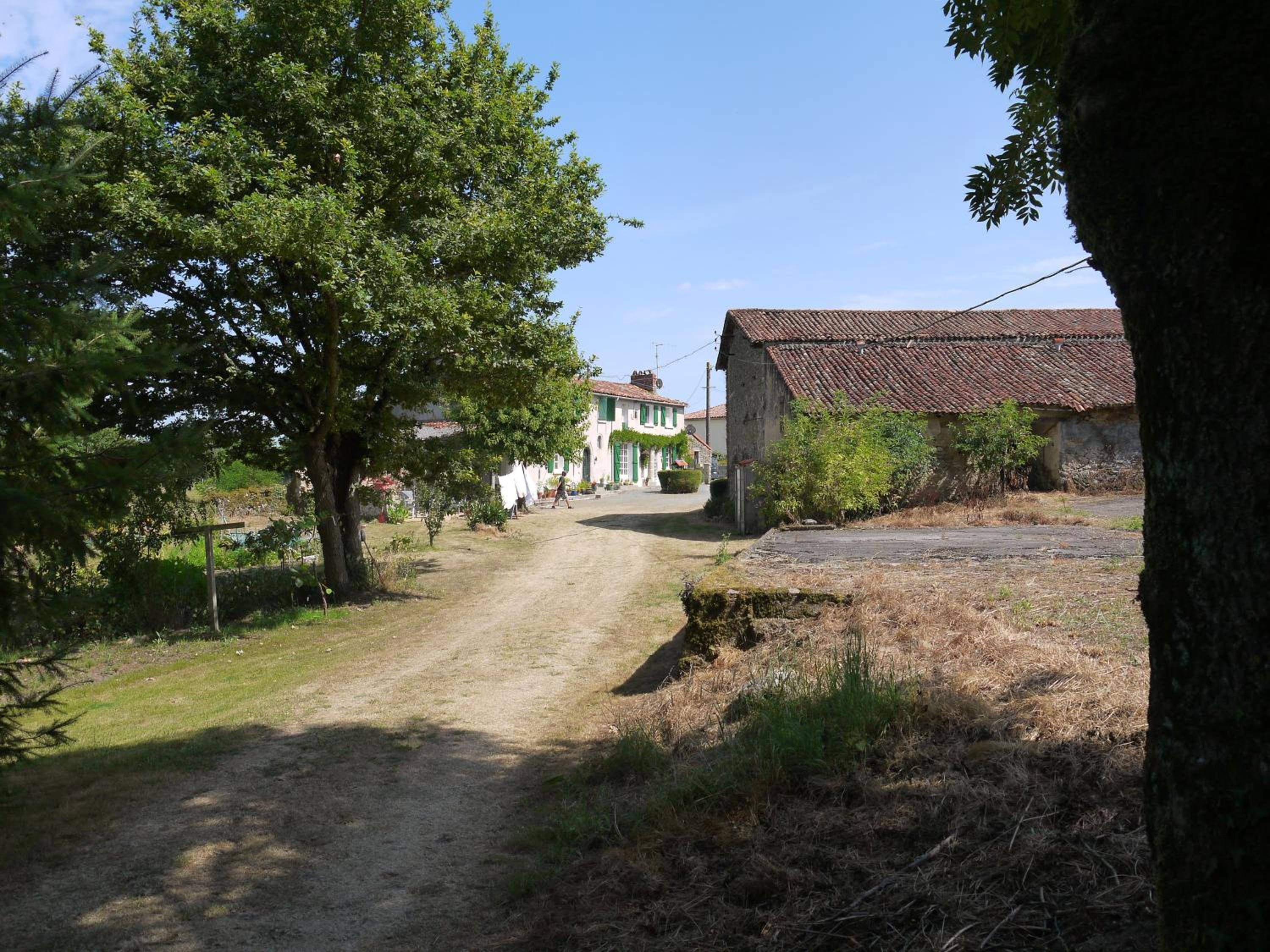 Photo 15
