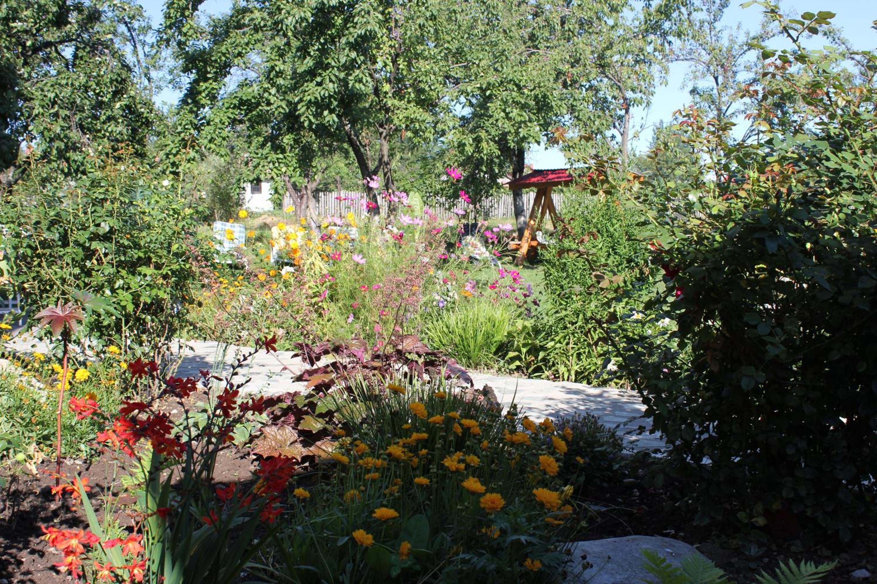 Photo 16