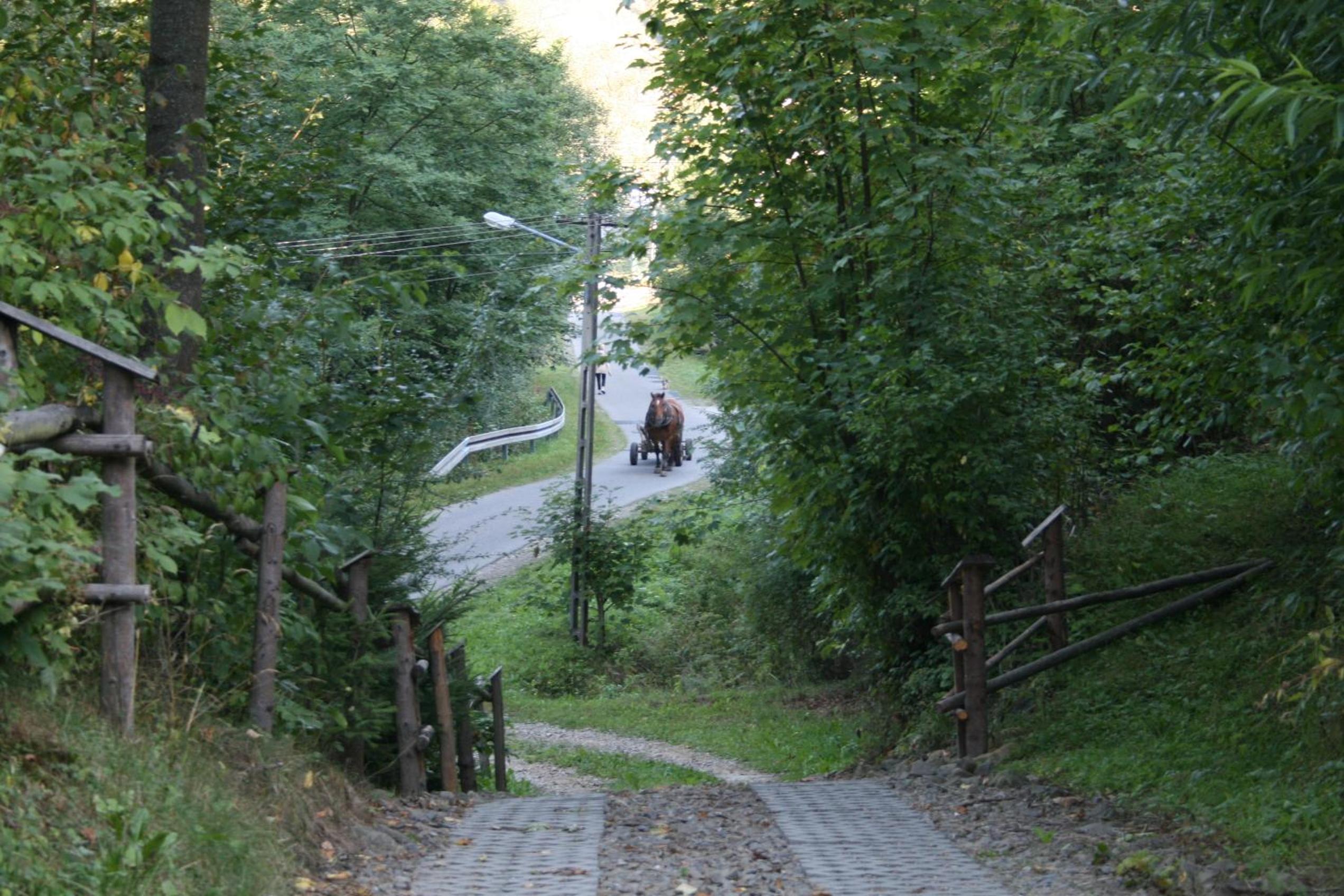 Photo 32