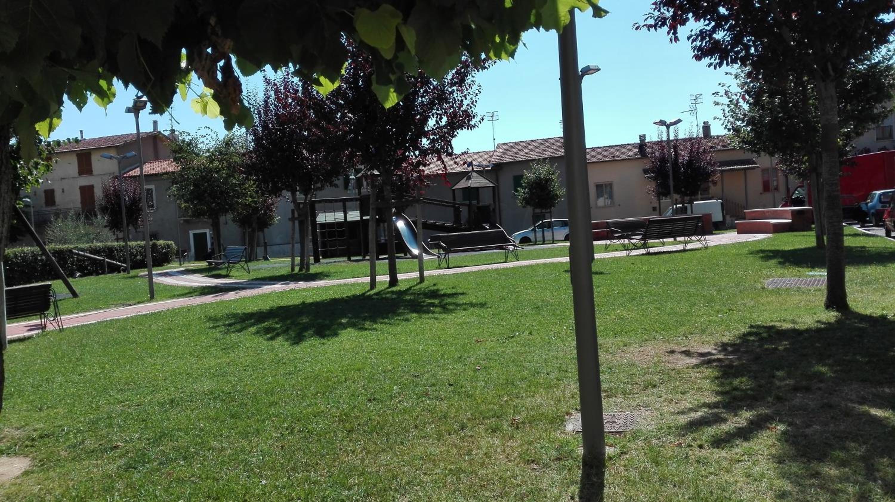 Photo 7