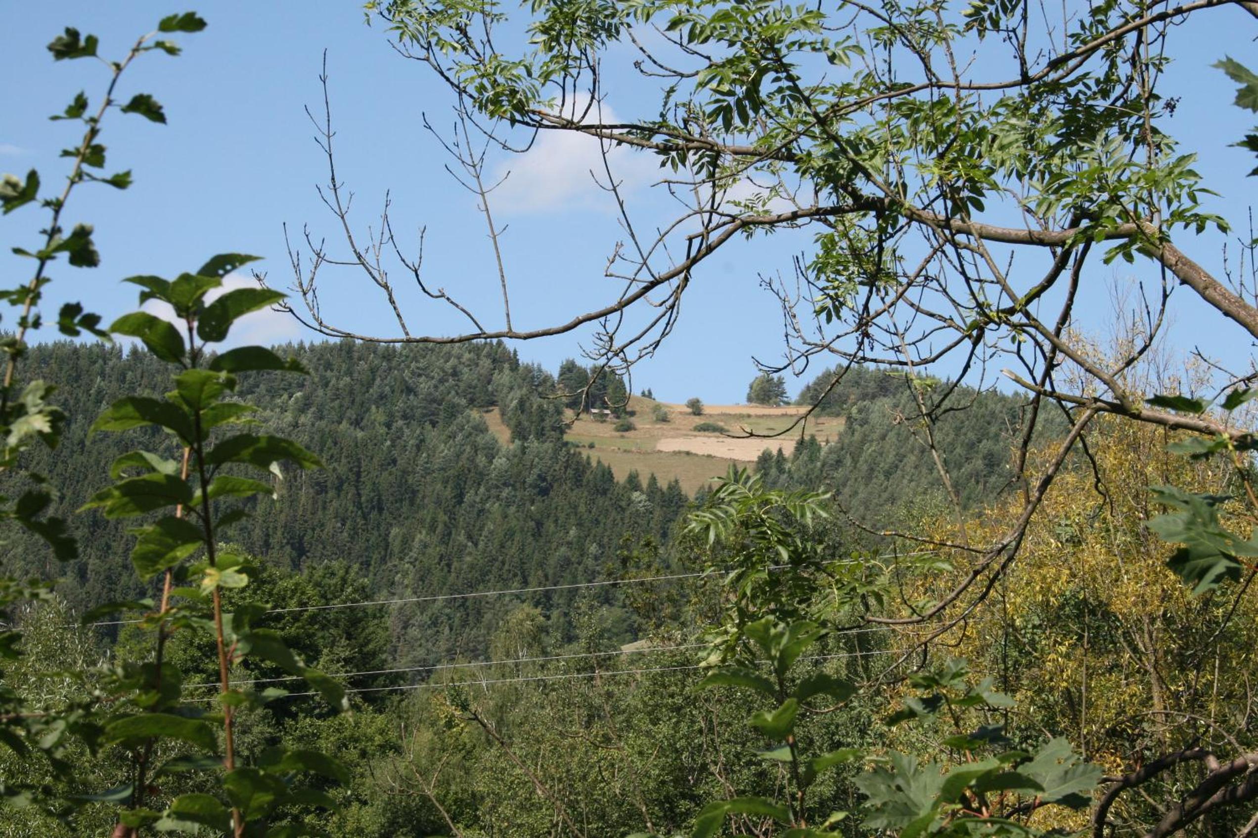 Photo 26