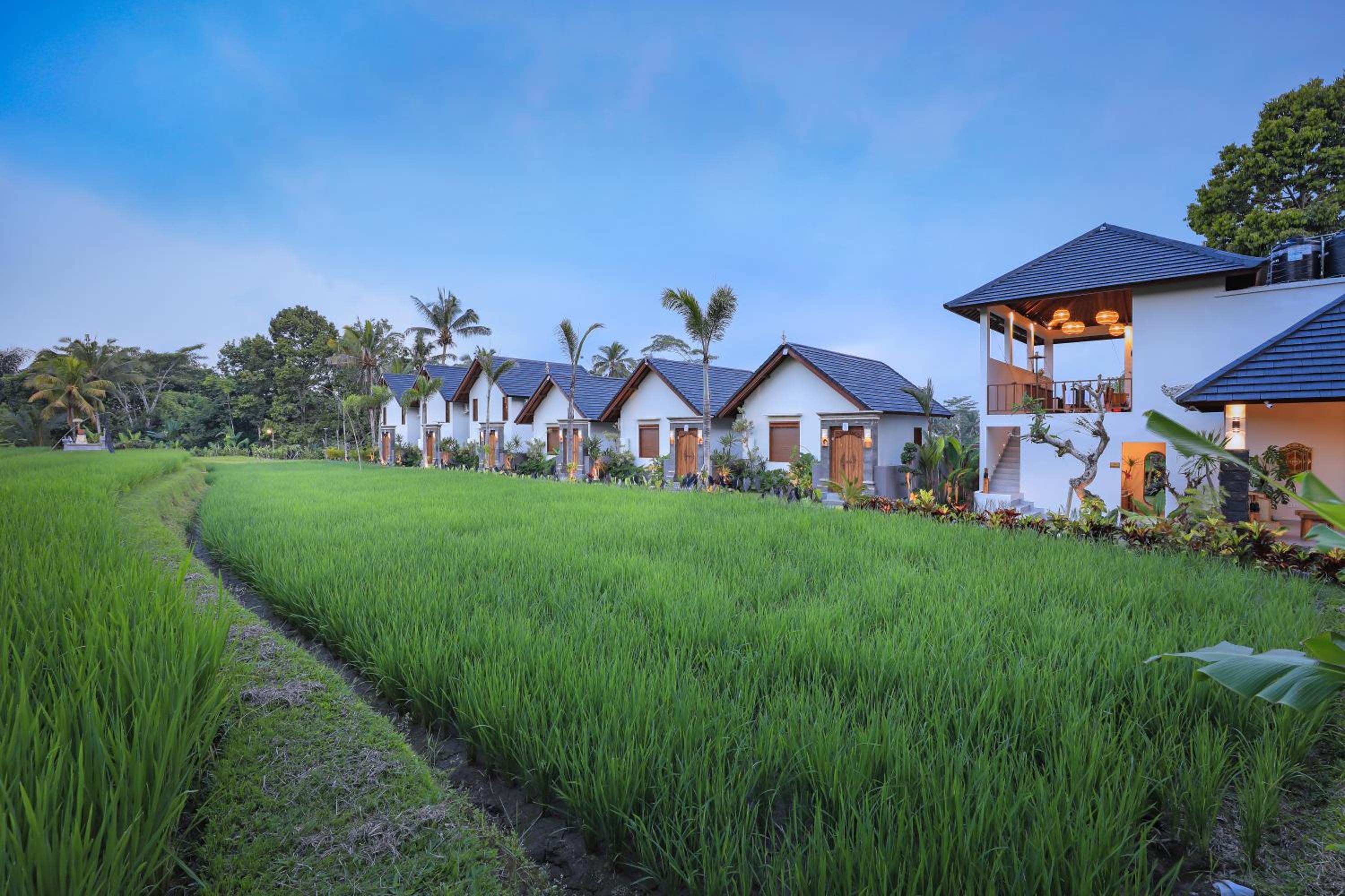 Ascarya Ubud