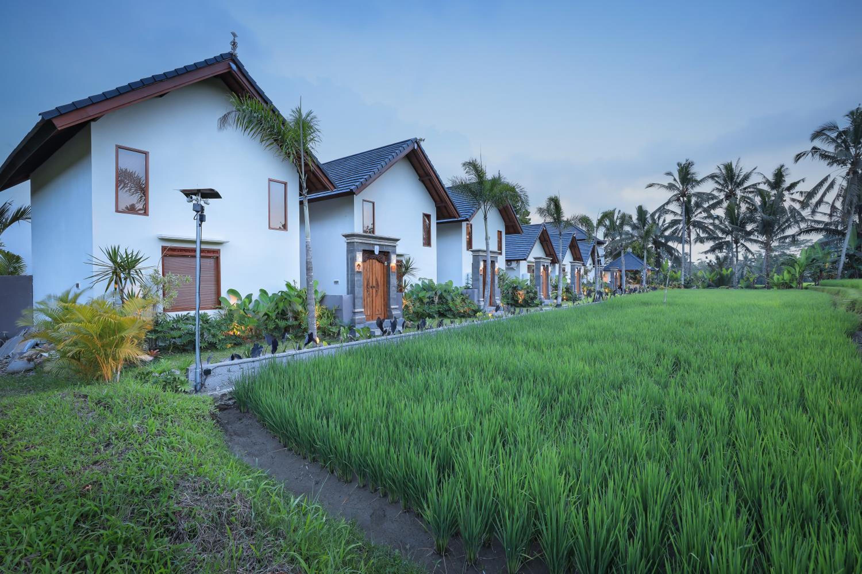 Ascarya Ubud