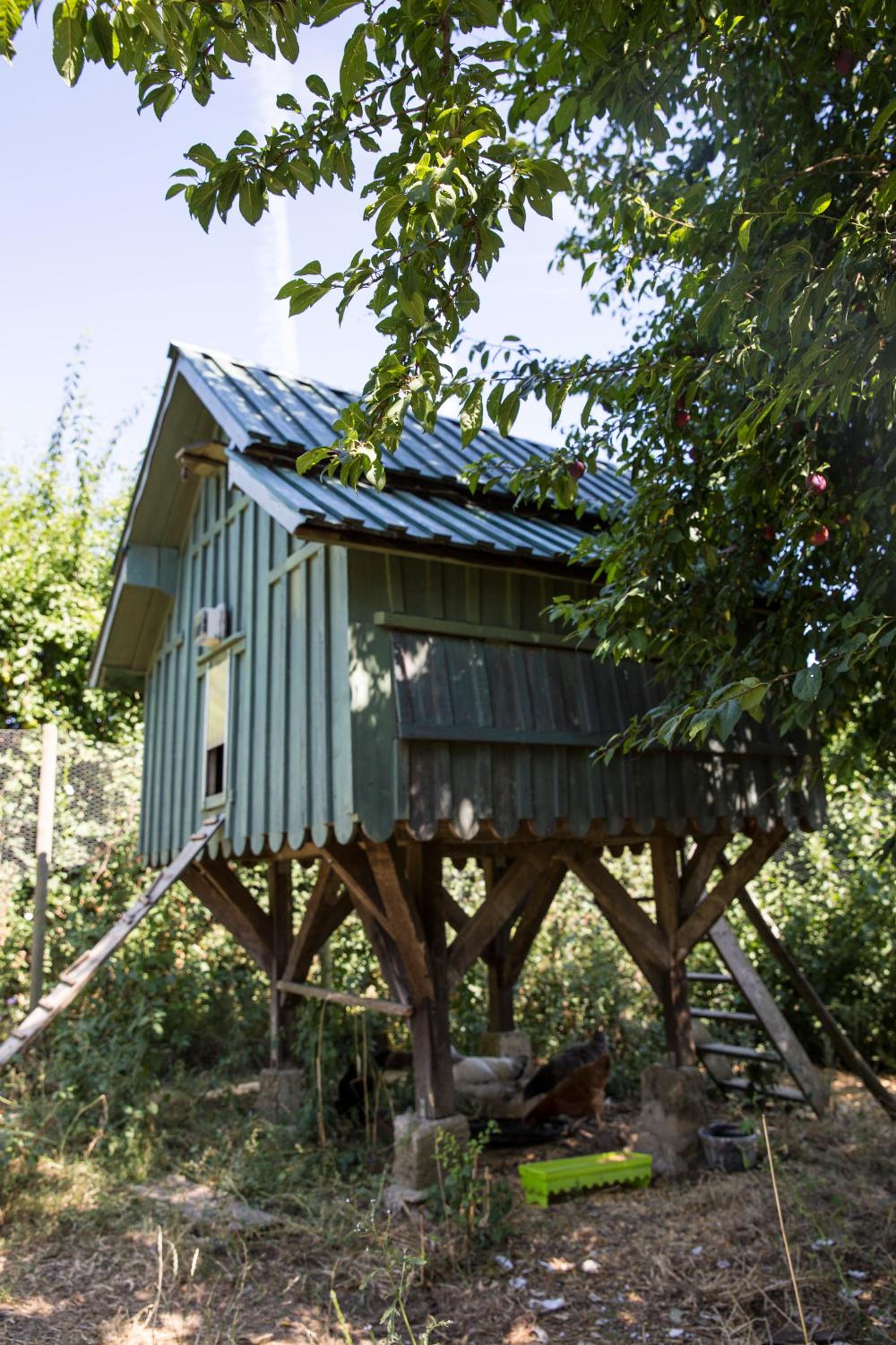 Le clos des abeilles