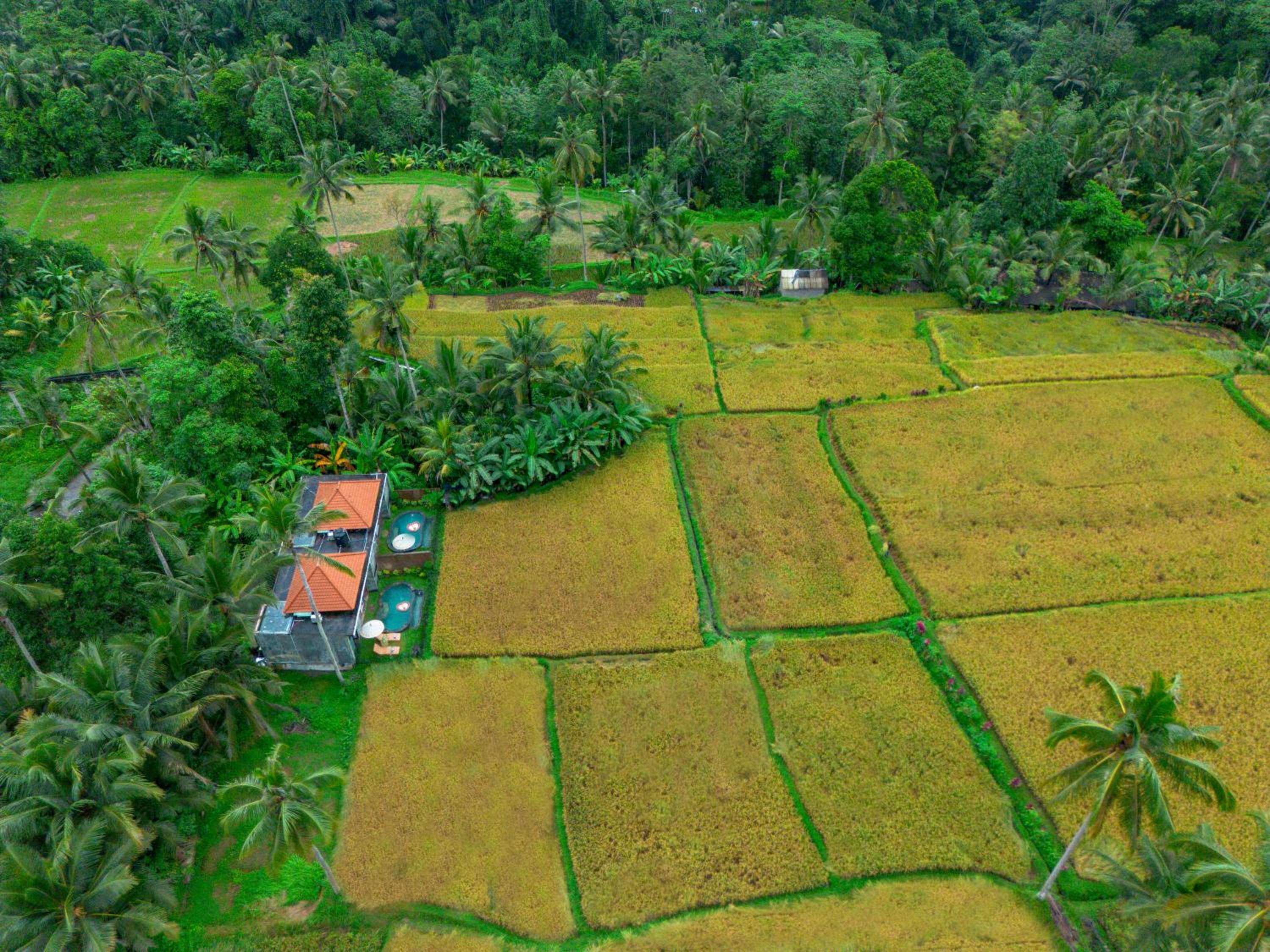 The Alus Private Villas