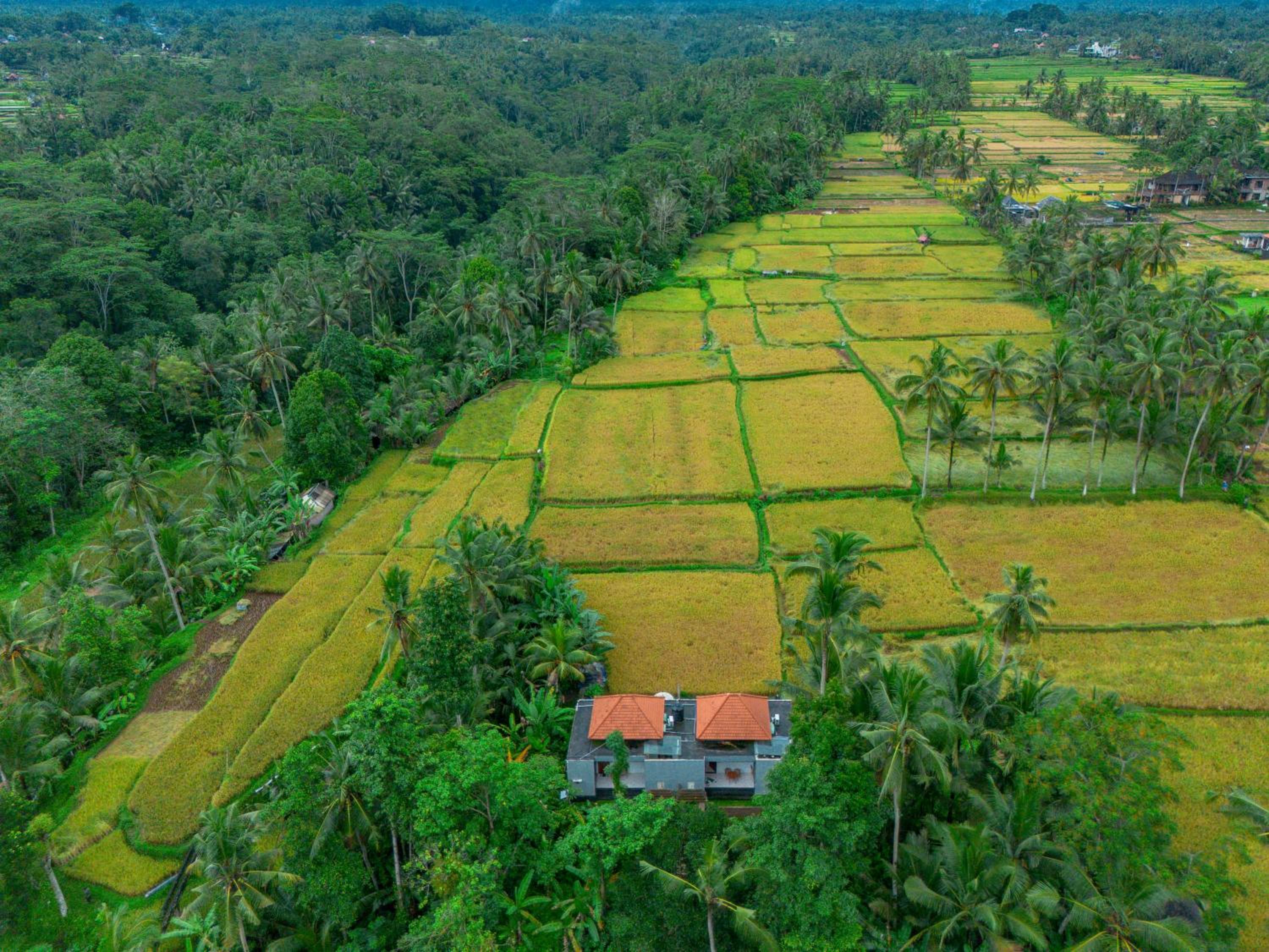 The Alus Private Villas