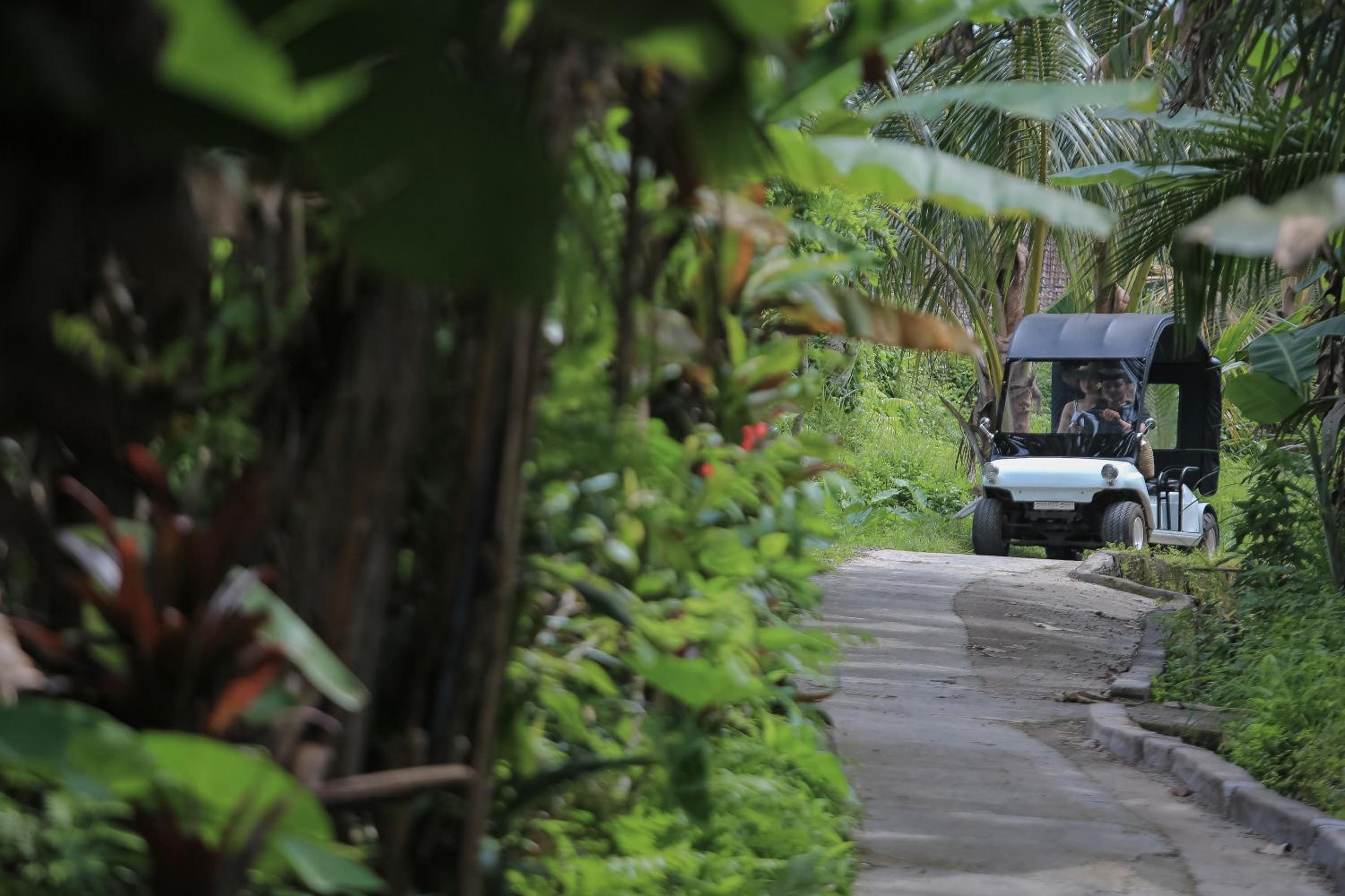 Ascarya Ubud