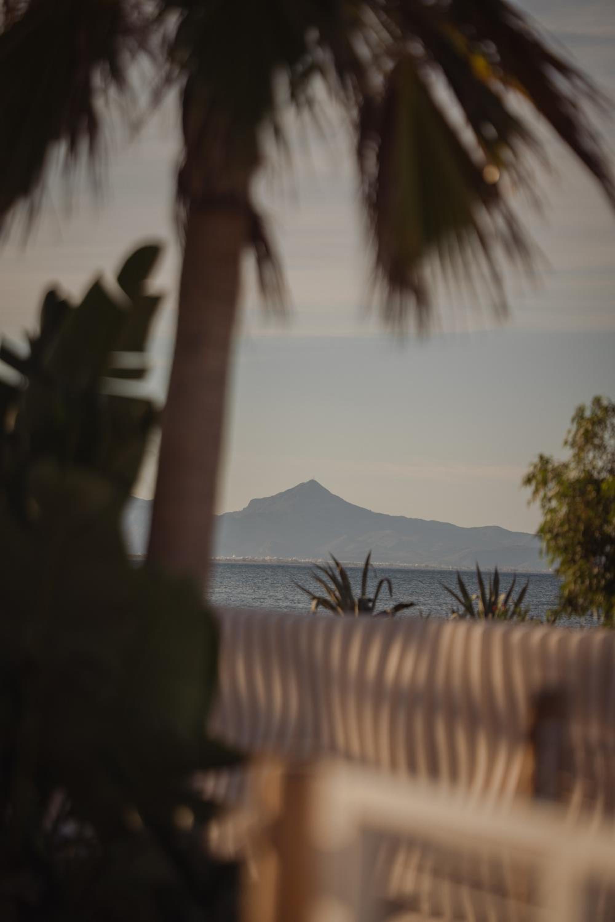 Colors of Denia