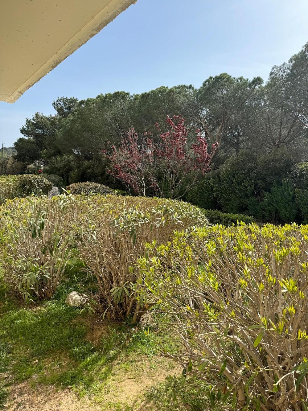 Flower Suite & Spa, air-conditioned and beach