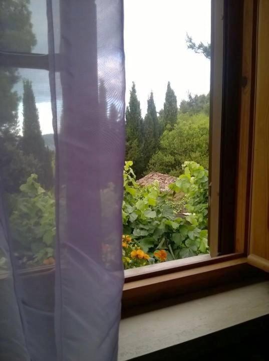 Casa Laura