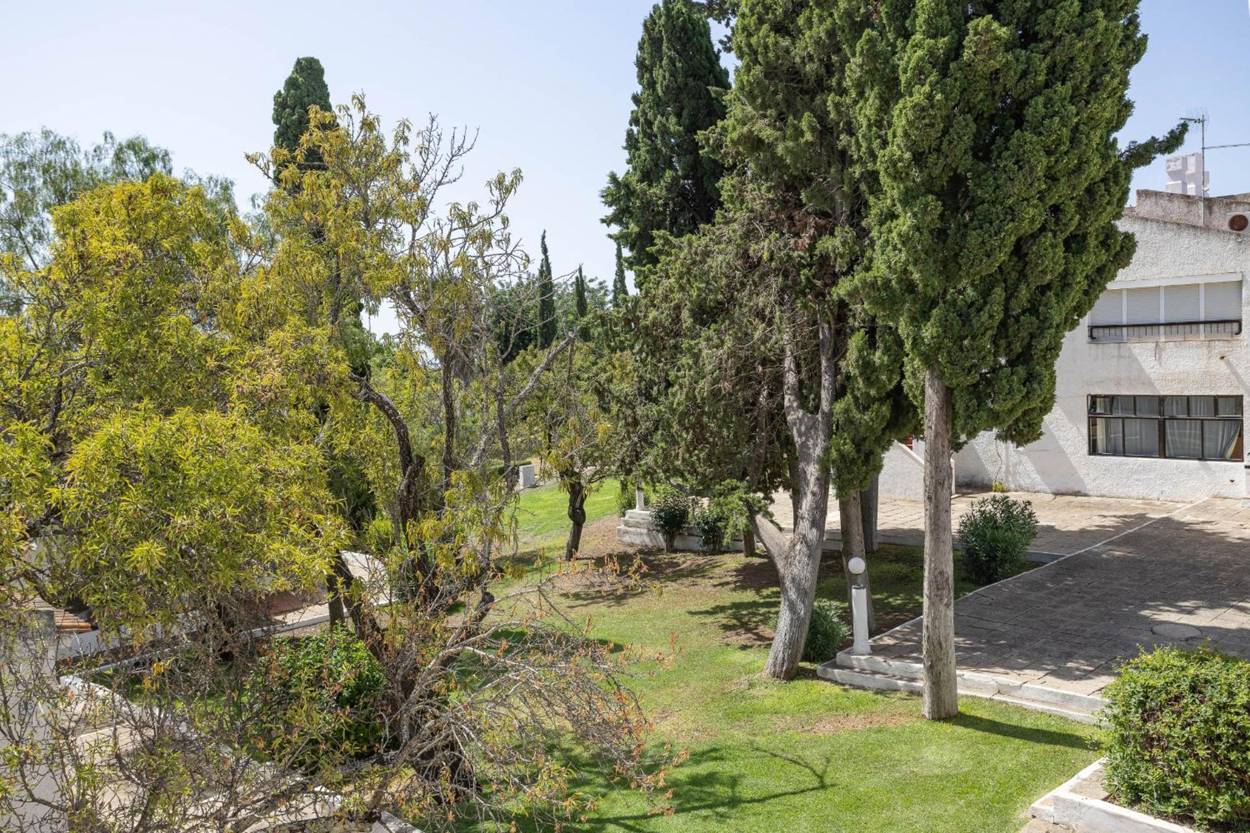 New! Pedras d'el Rei 352
