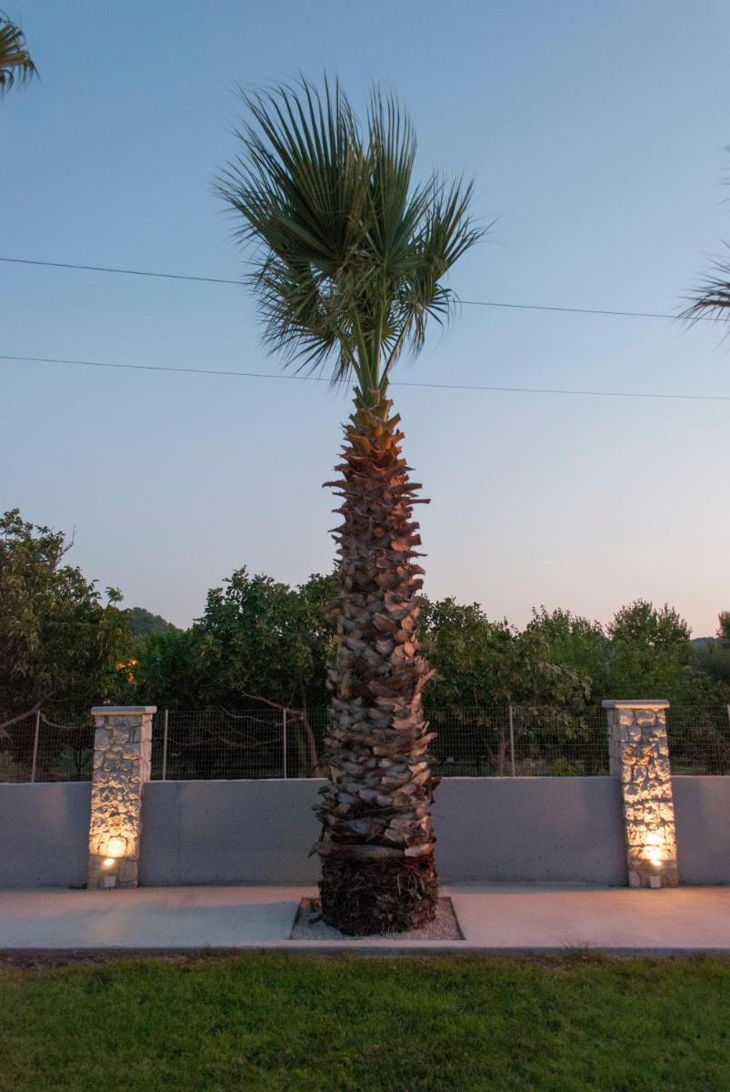 Vergina Sun