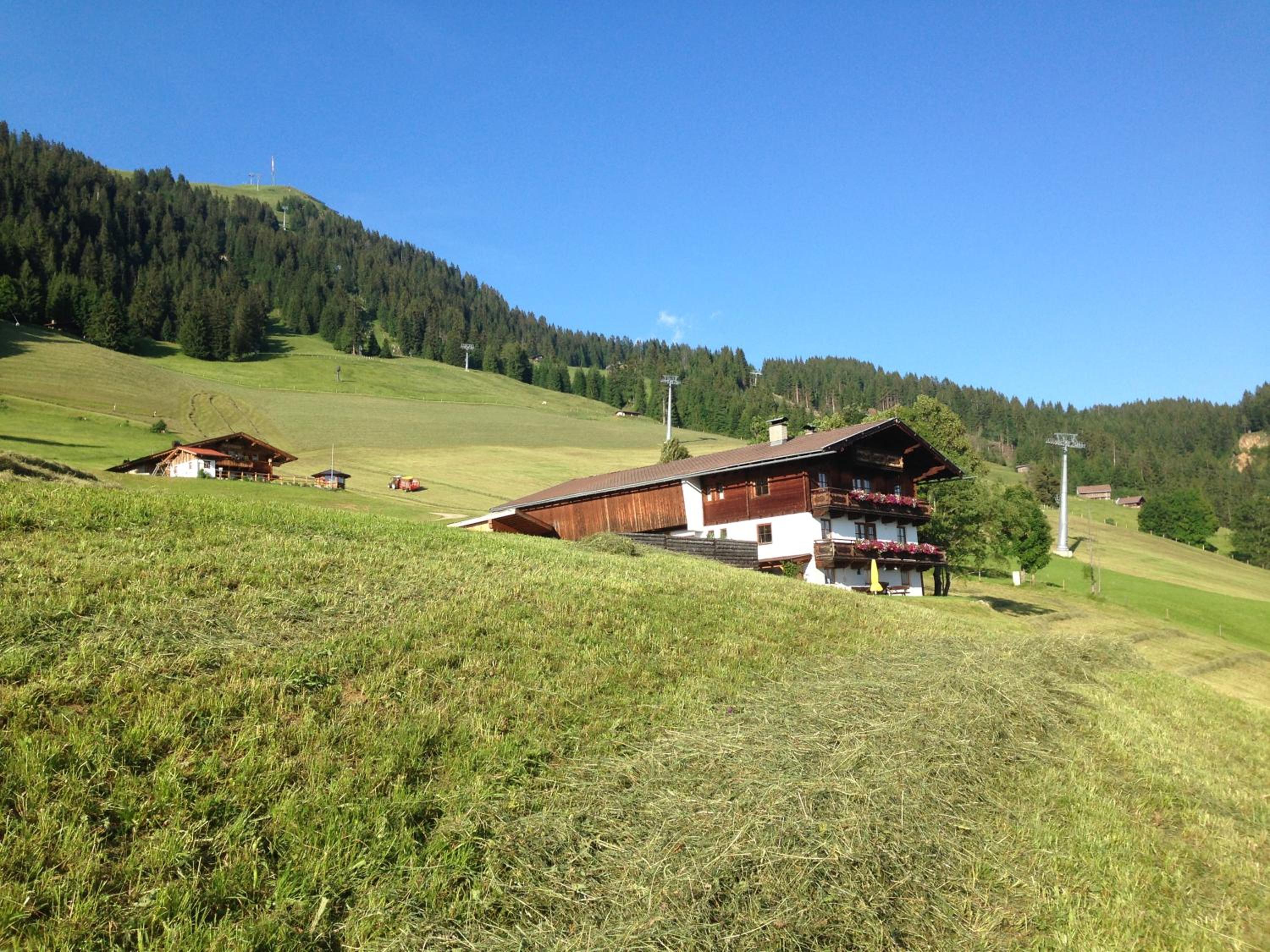 Salvenalm