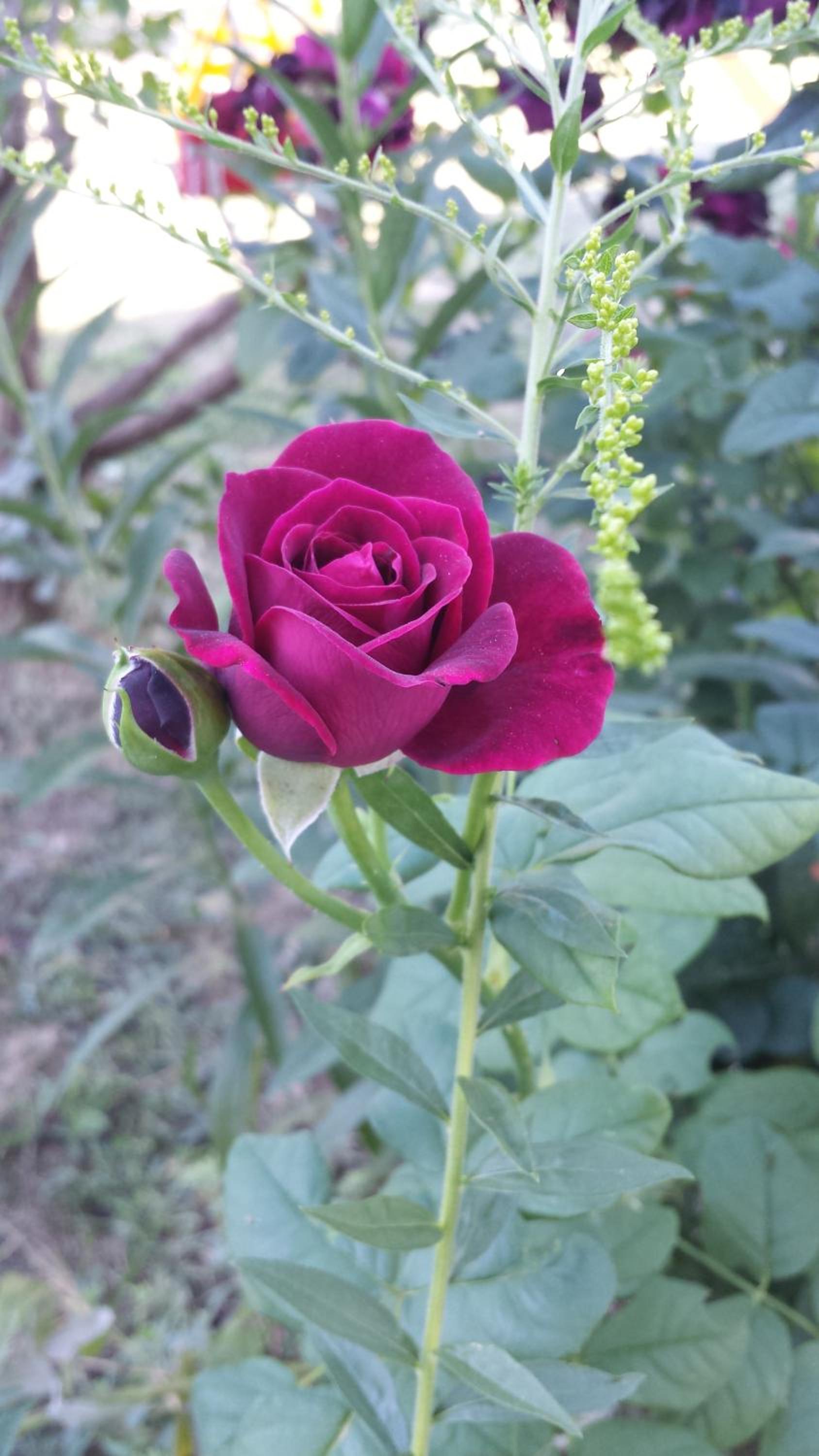 Photo 23