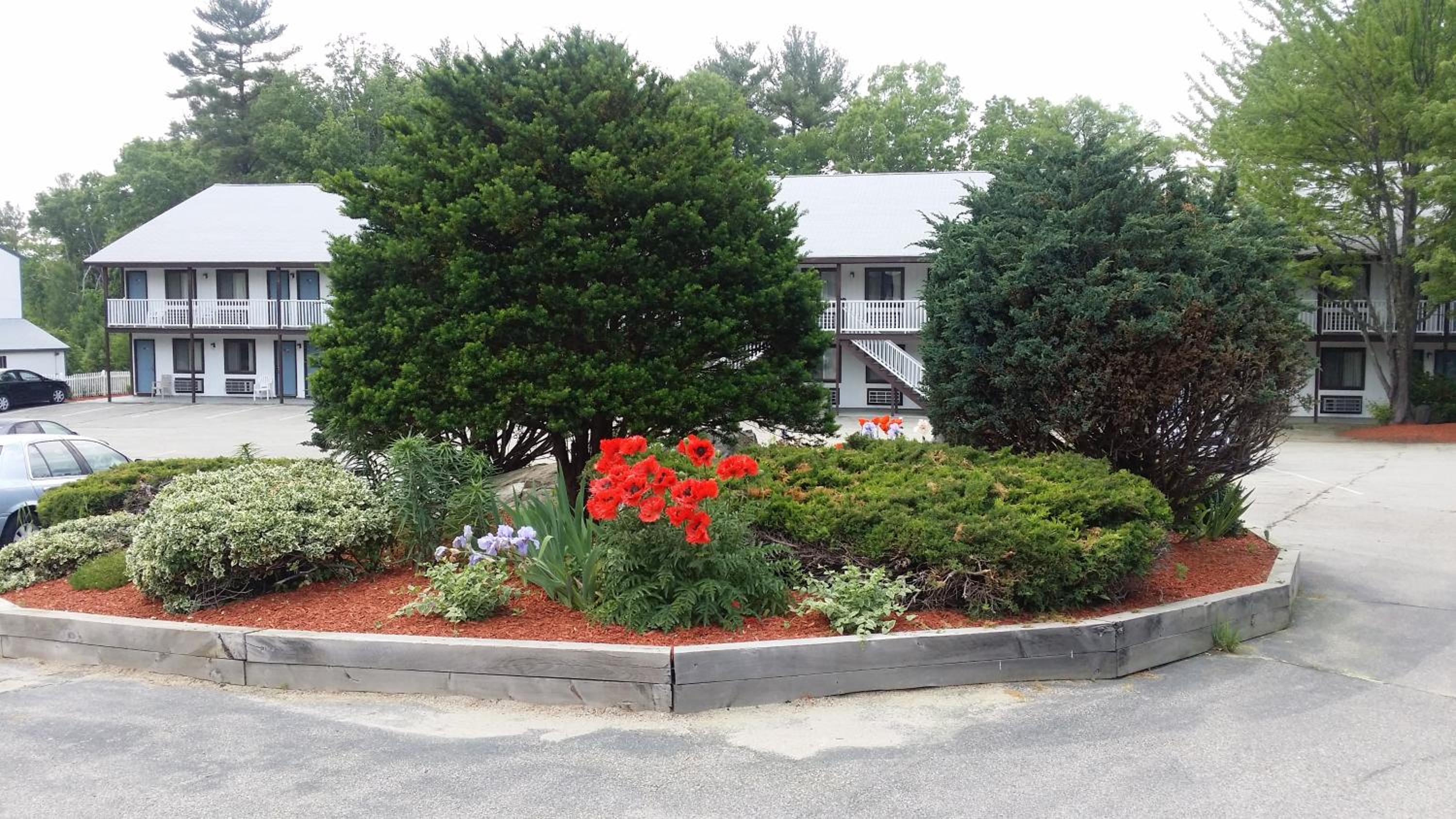 Seabrook Inn - Property Image 8