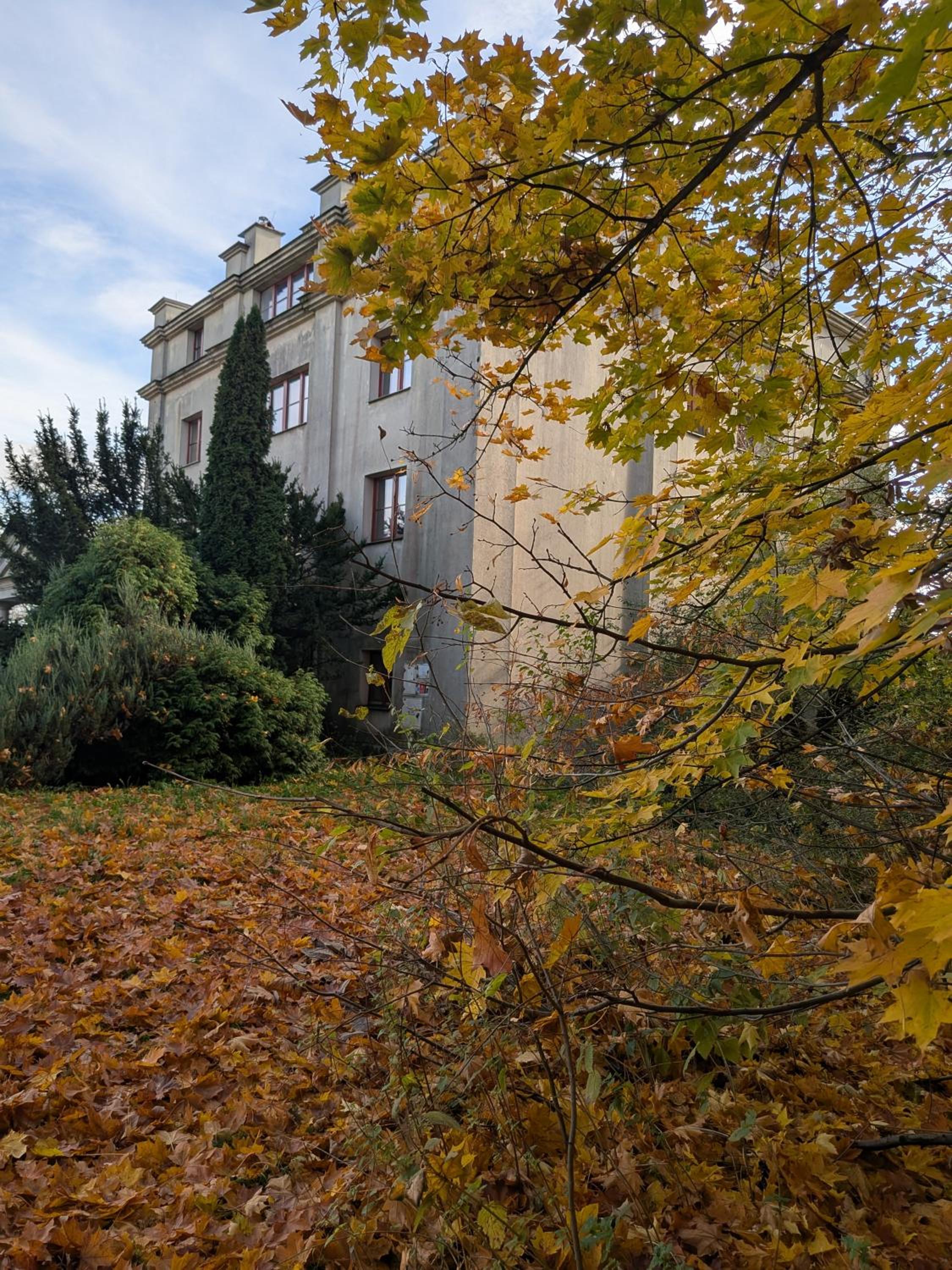 Zielona Paszkówka