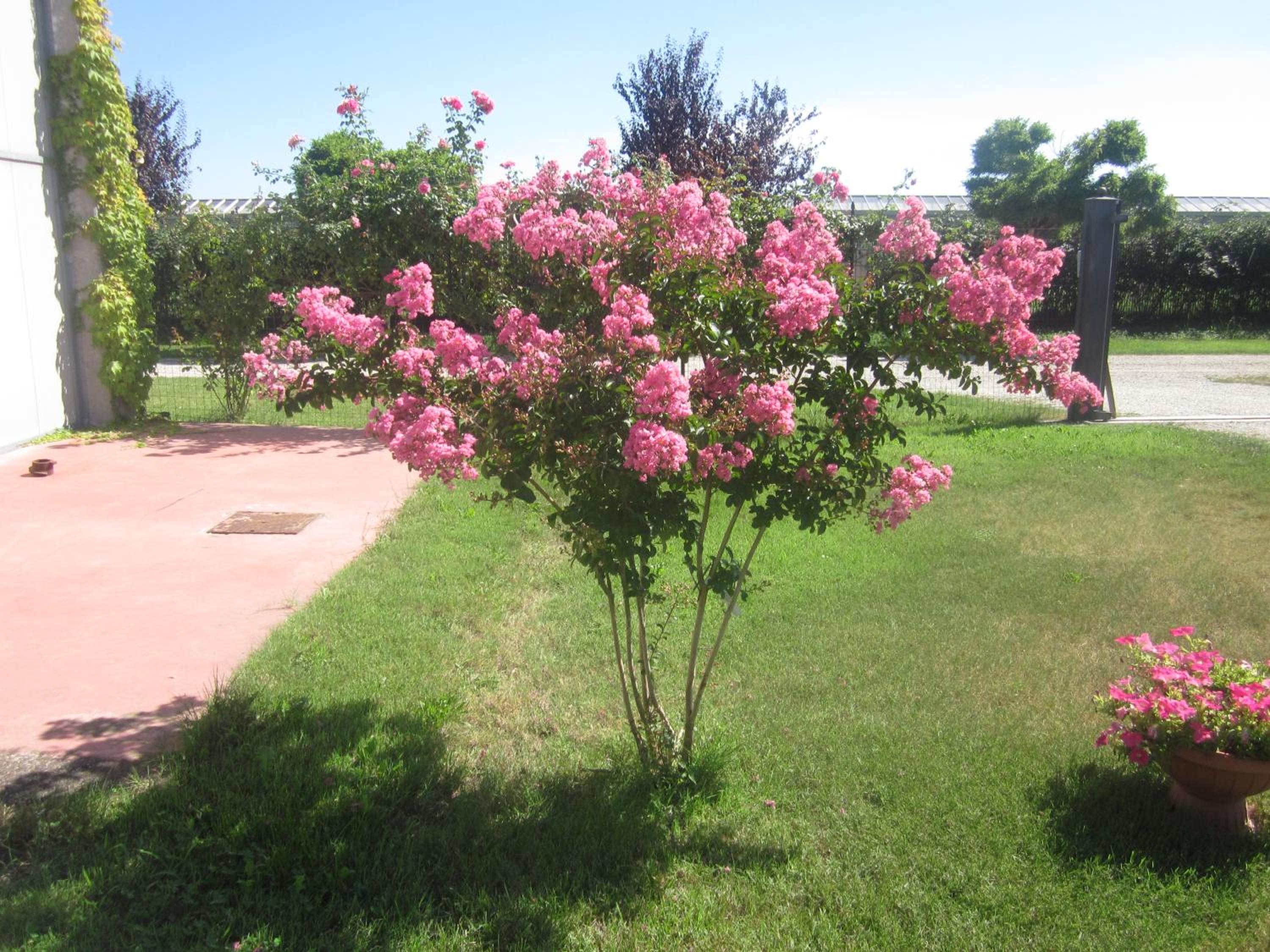 Photo 32