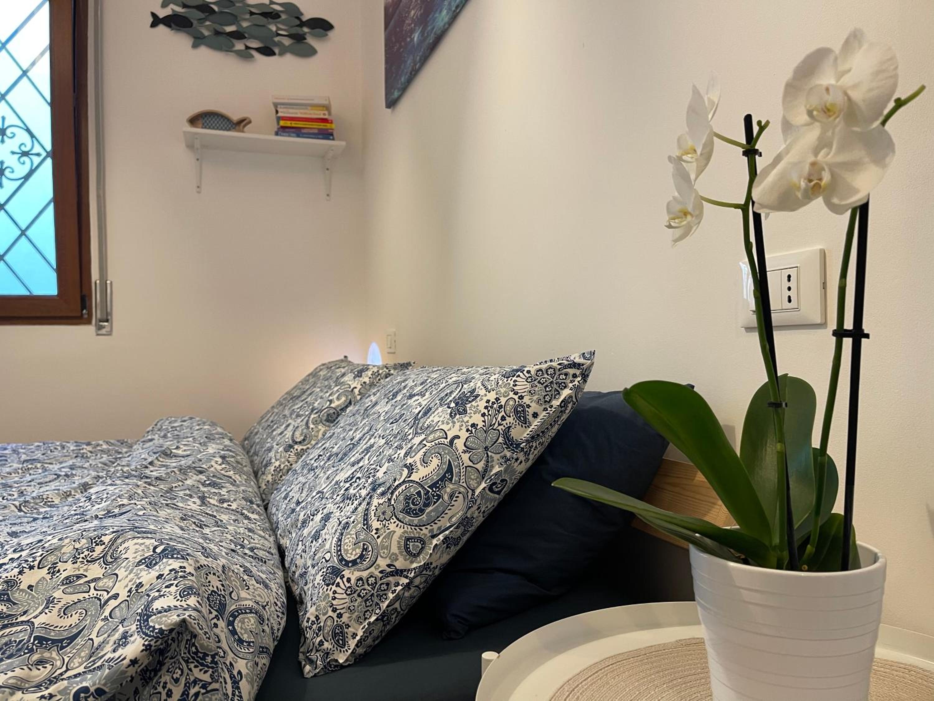 Surfer's Paradise holiday apartment