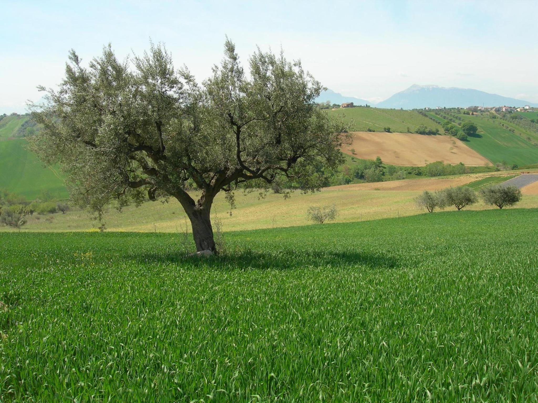 Photo 44