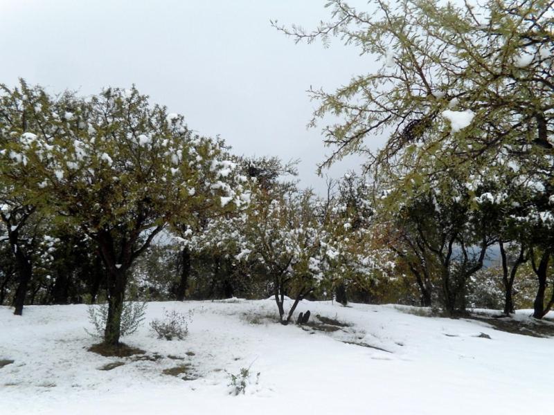 Cabañas Chacras del Arroyo Vidal