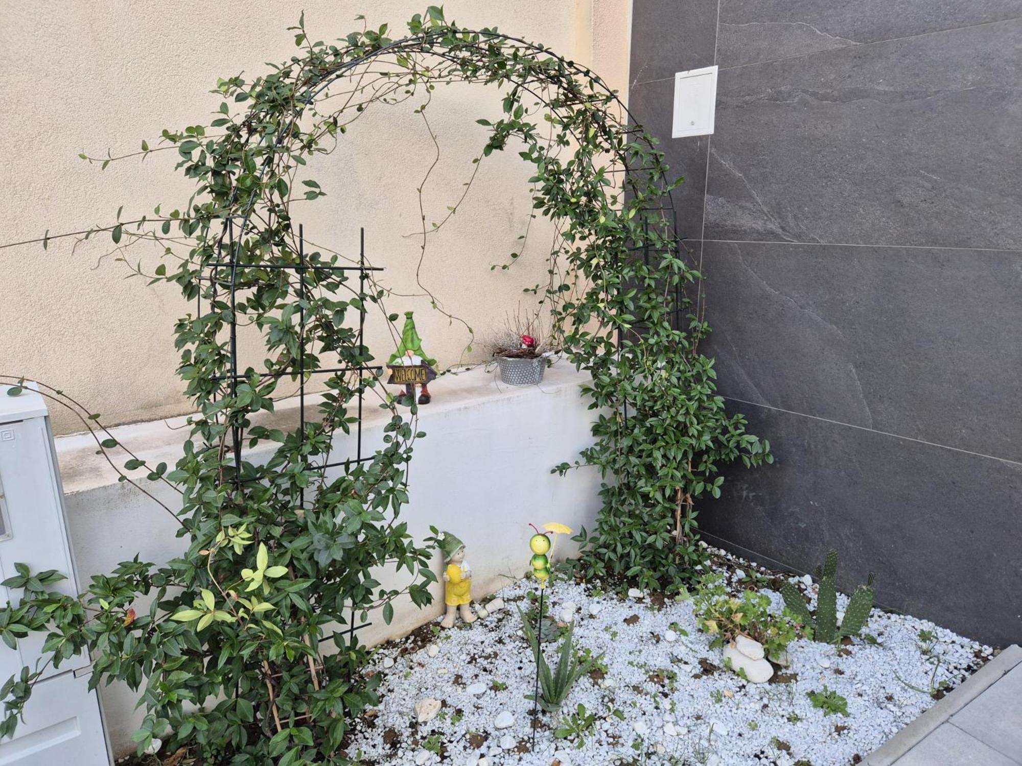 Apartman Malomi