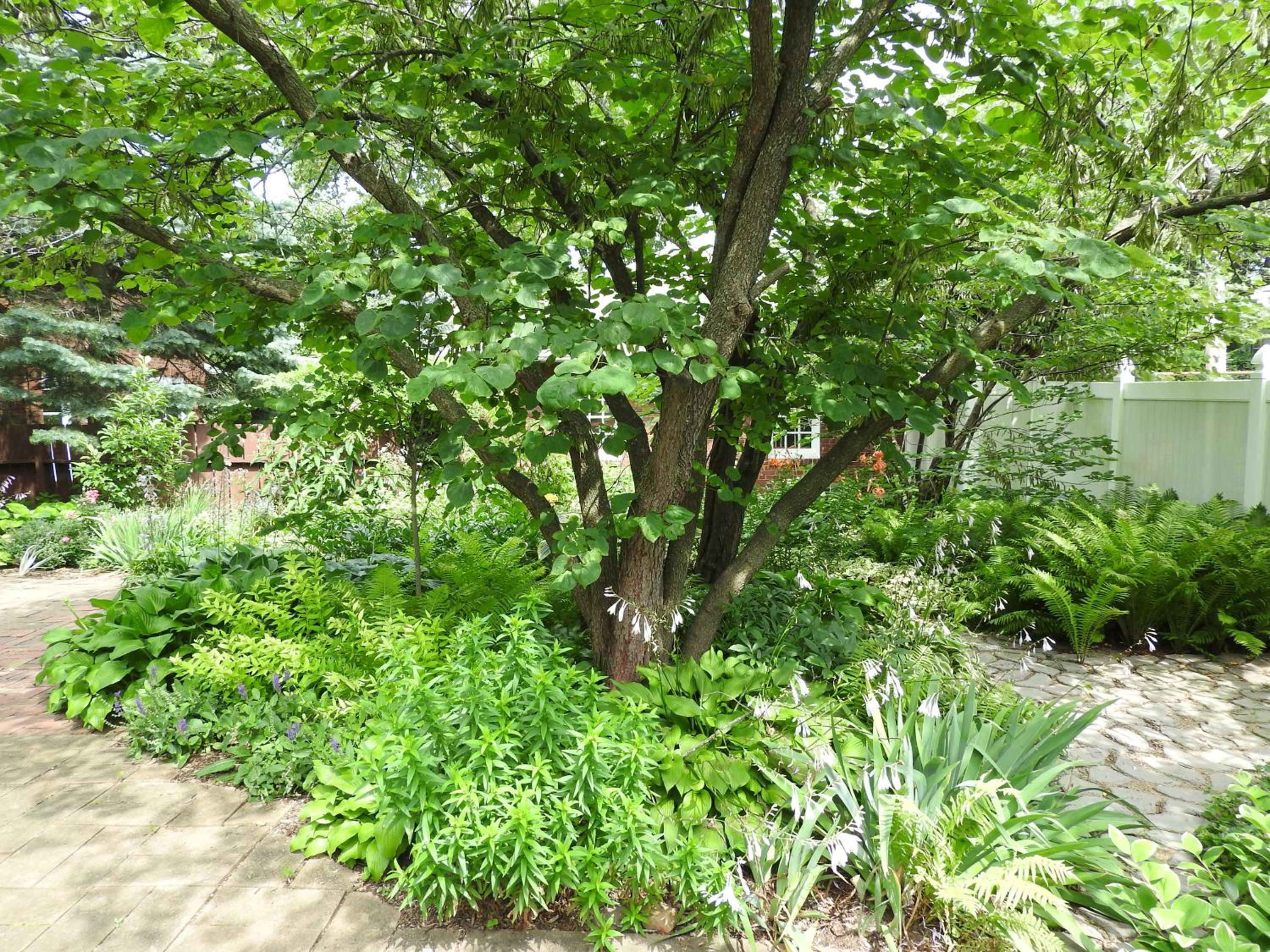 Champaign Garden Inn