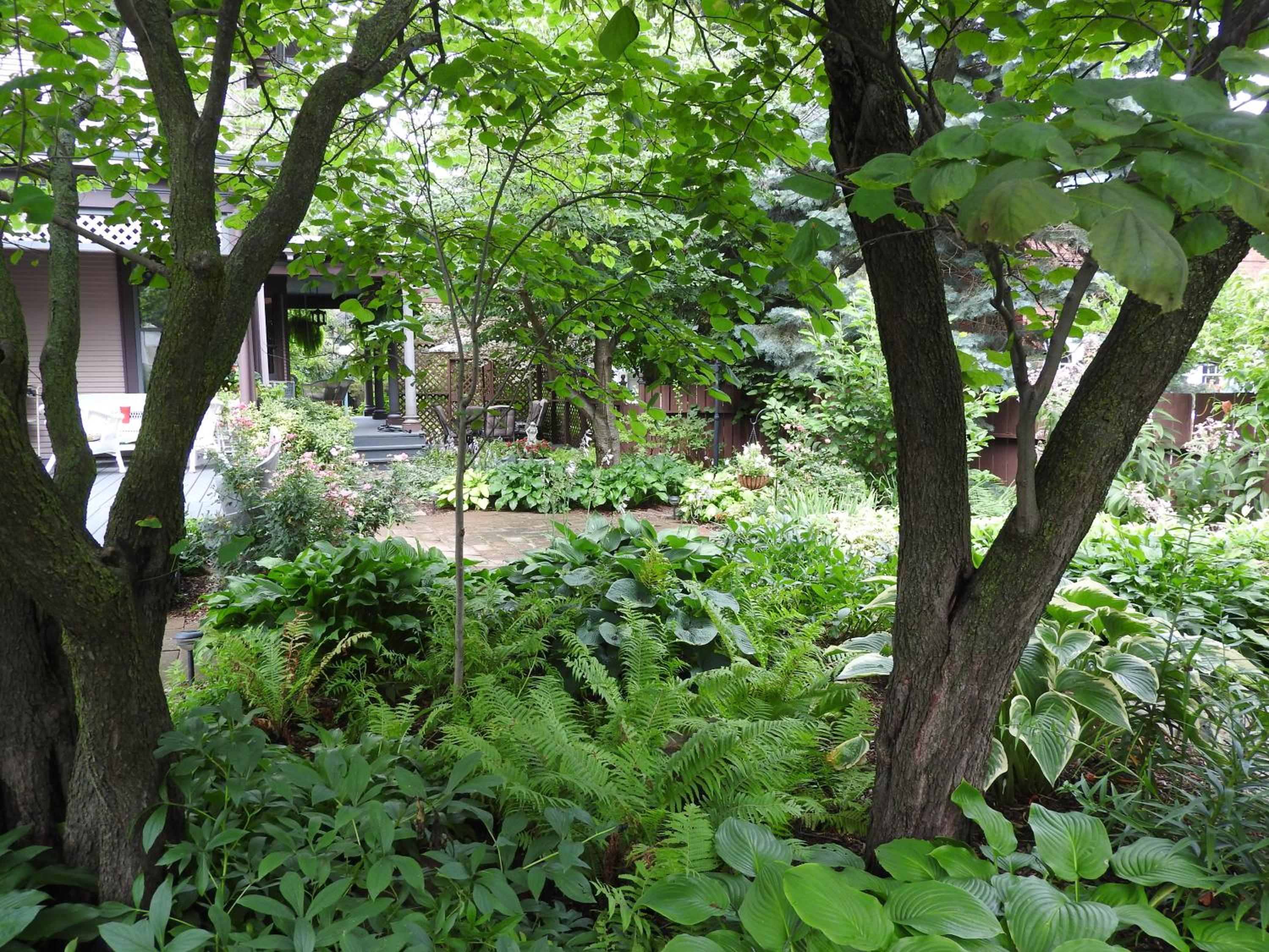 Champaign Garden Inn
