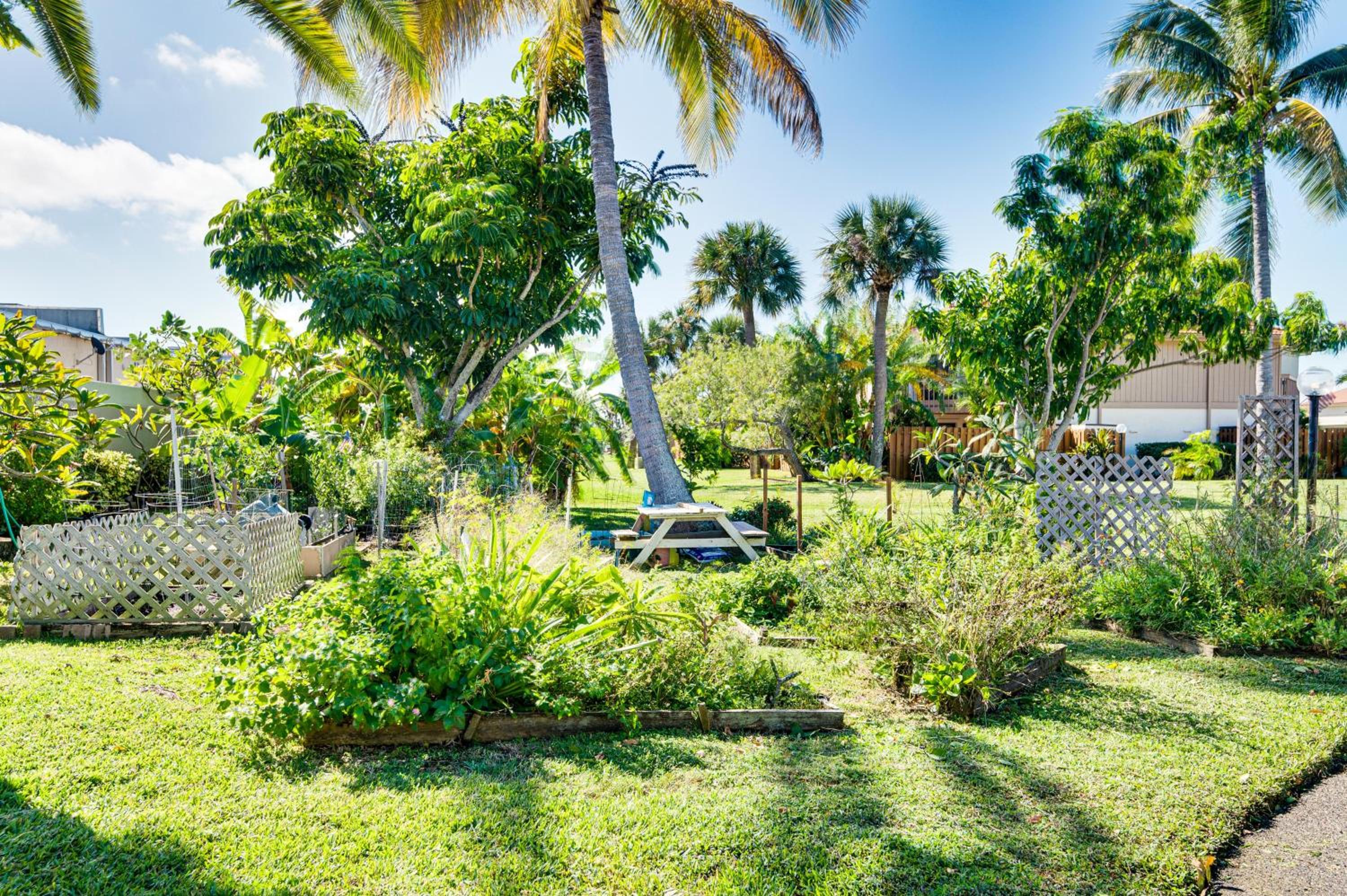 Condo with Direct Ocean Inlet View Bikes Included!