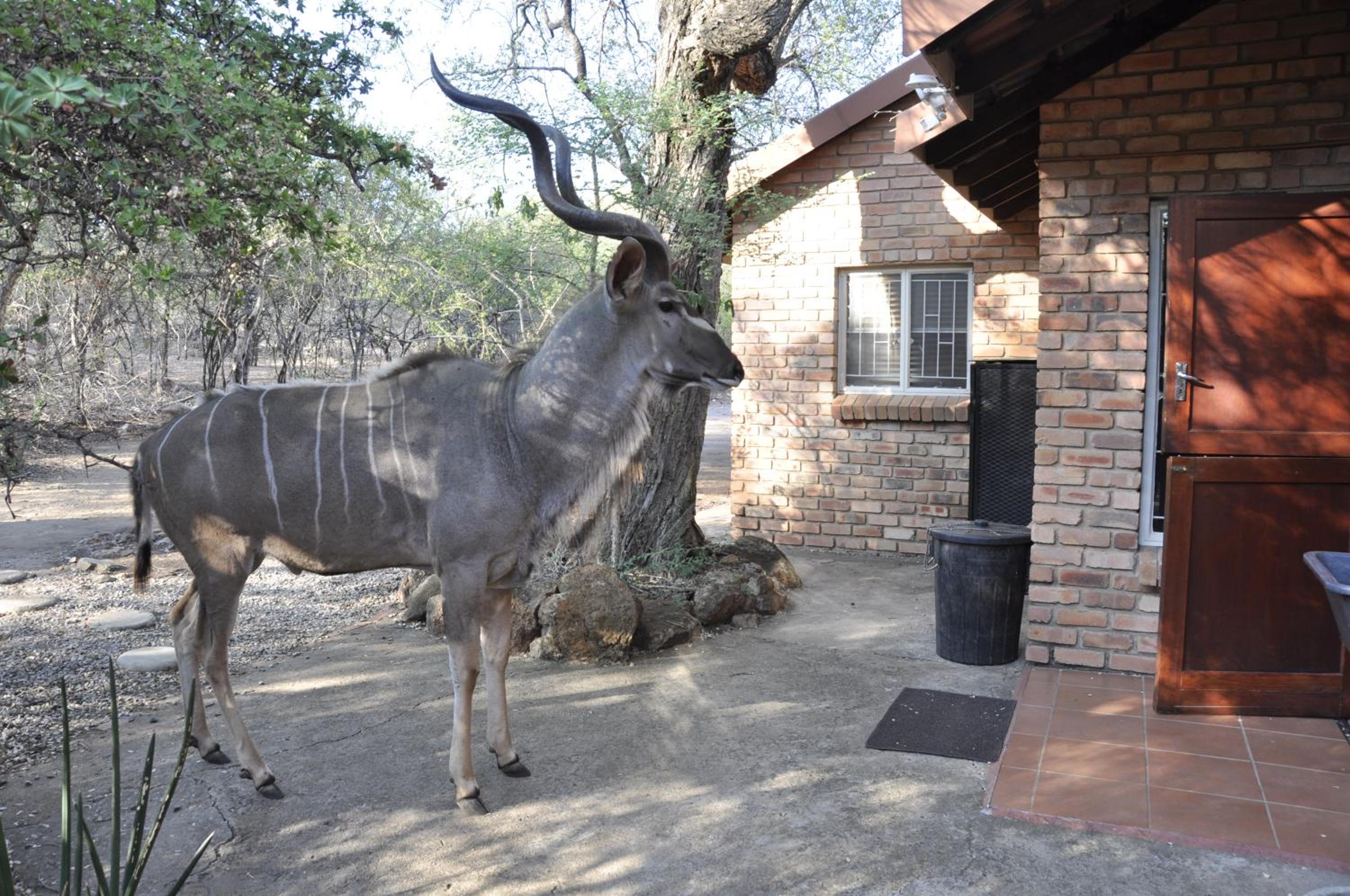 Milkwood Holiday Home