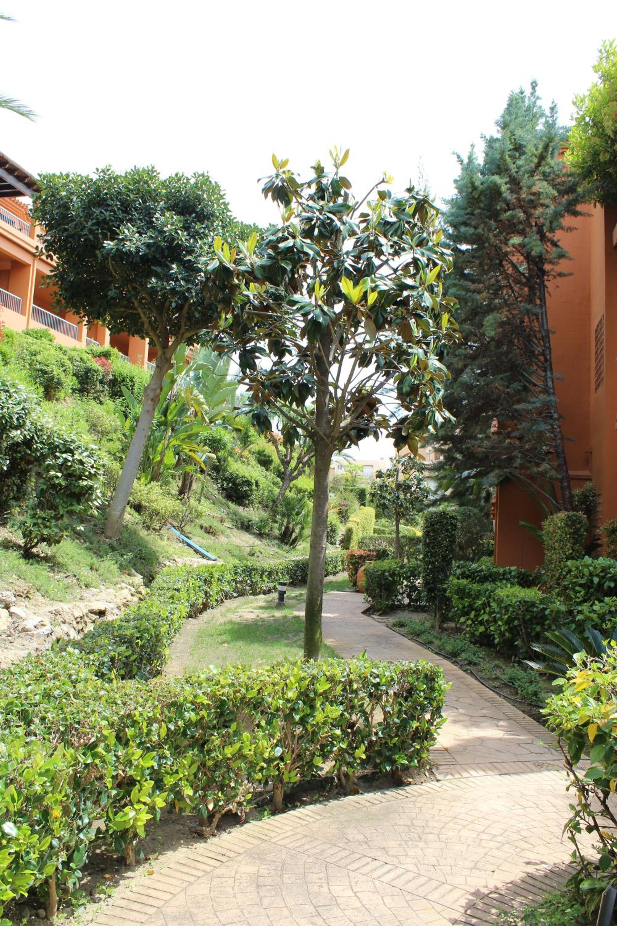 Benatalaya Estepona