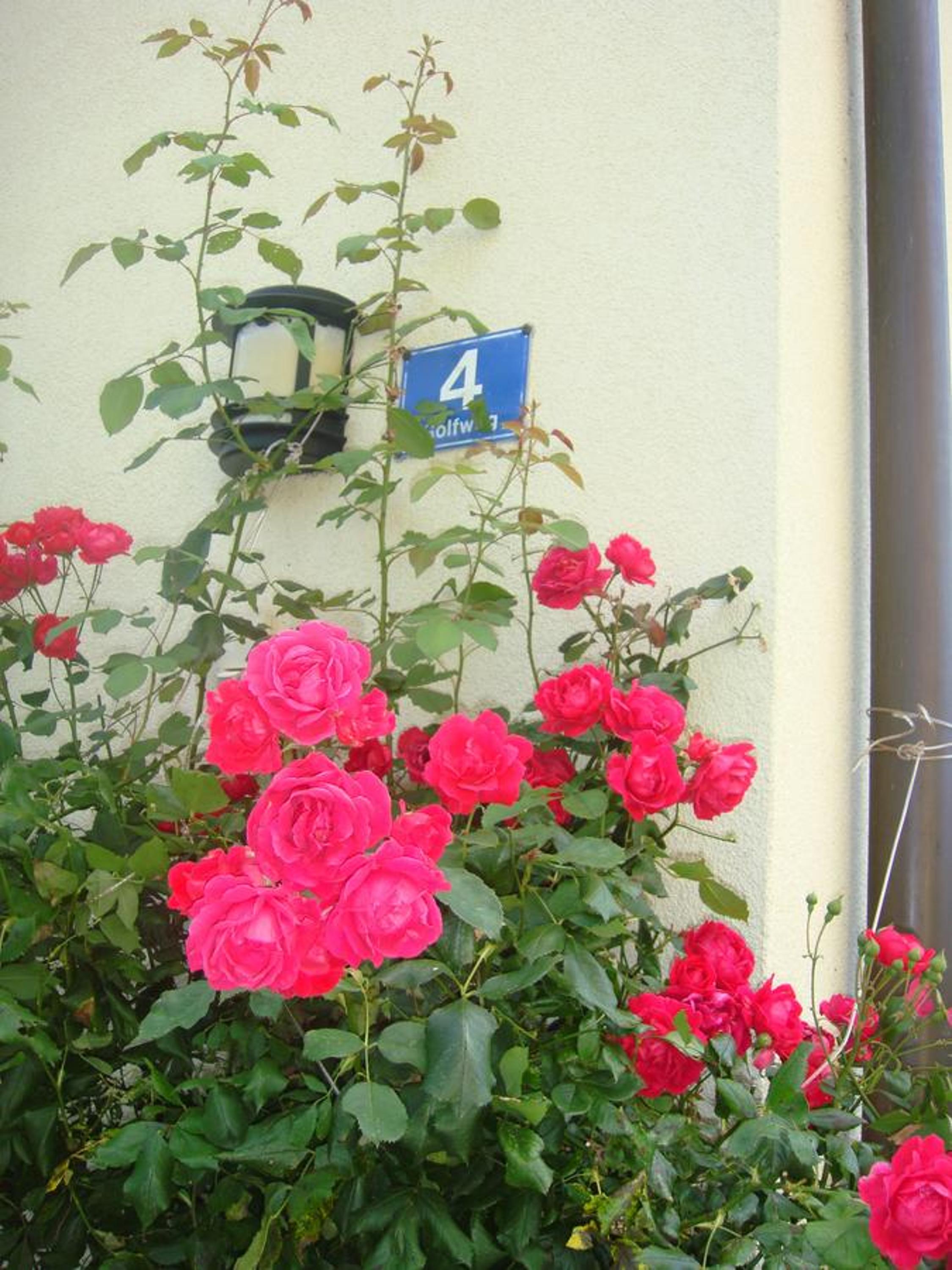Ferienwohnungen Steger