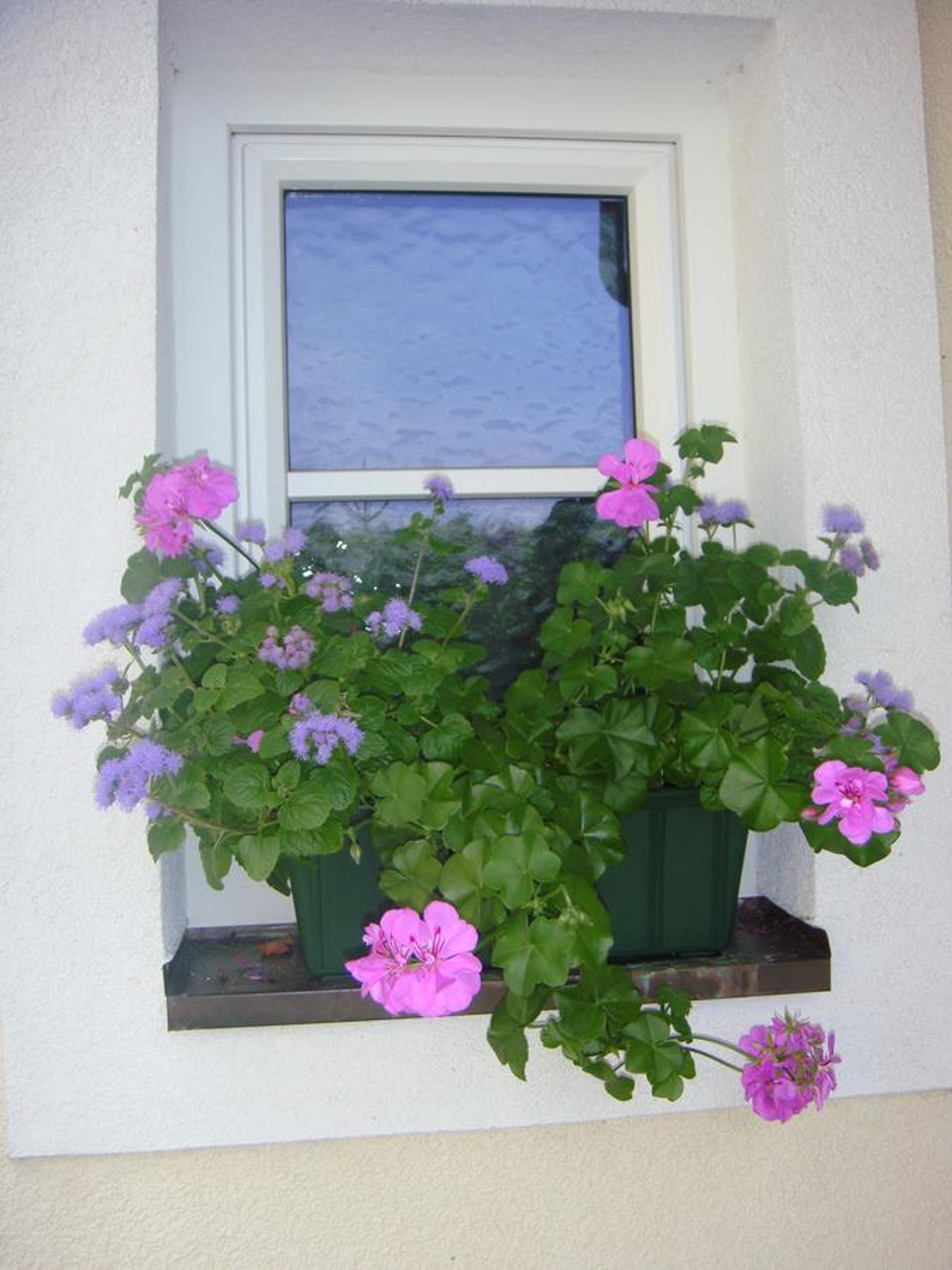 Ferienwohnungen Steger