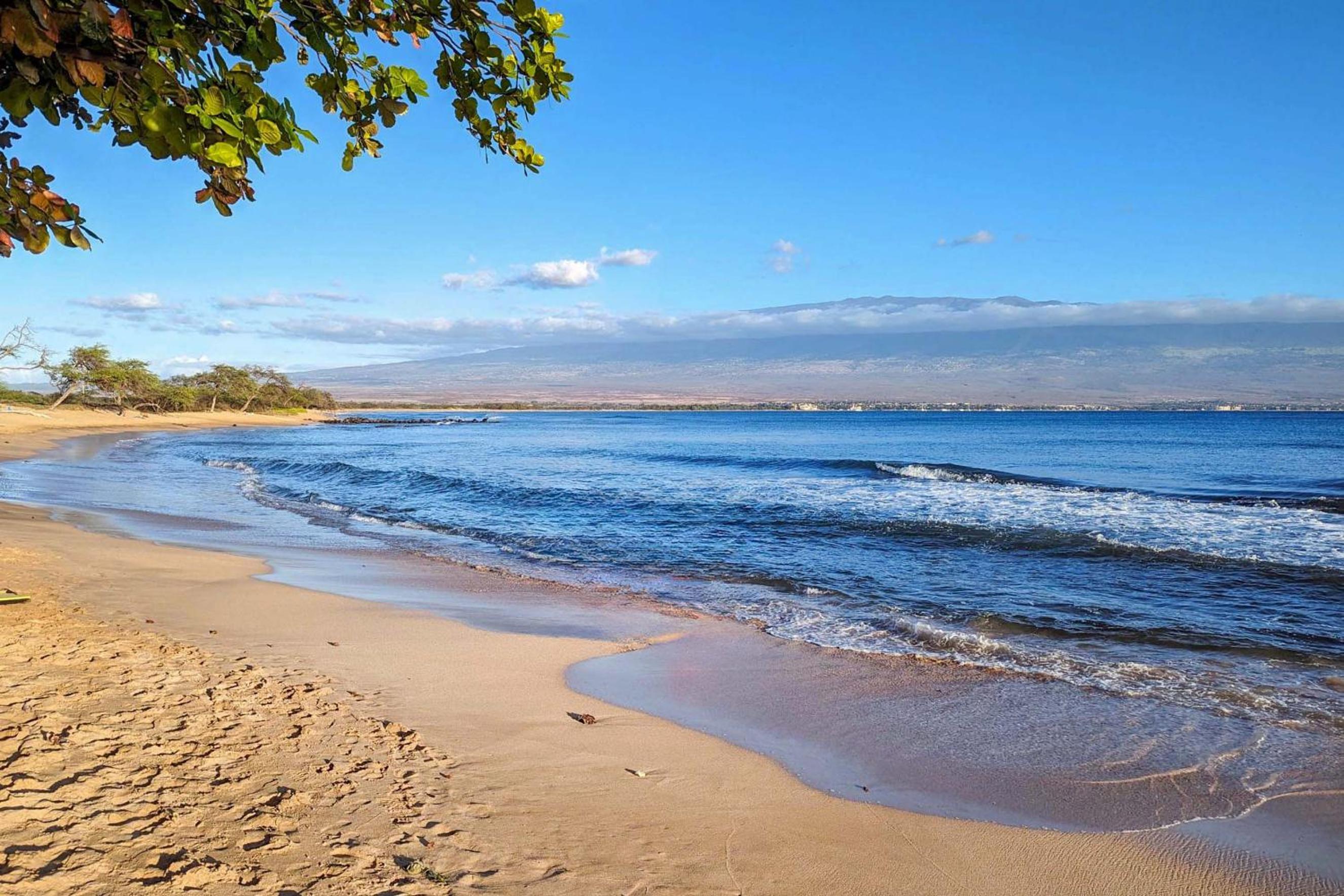 Oceanfront Lauloa 106 - Ground Floor, Modern Renovation, Split-AC, Walk to Beach