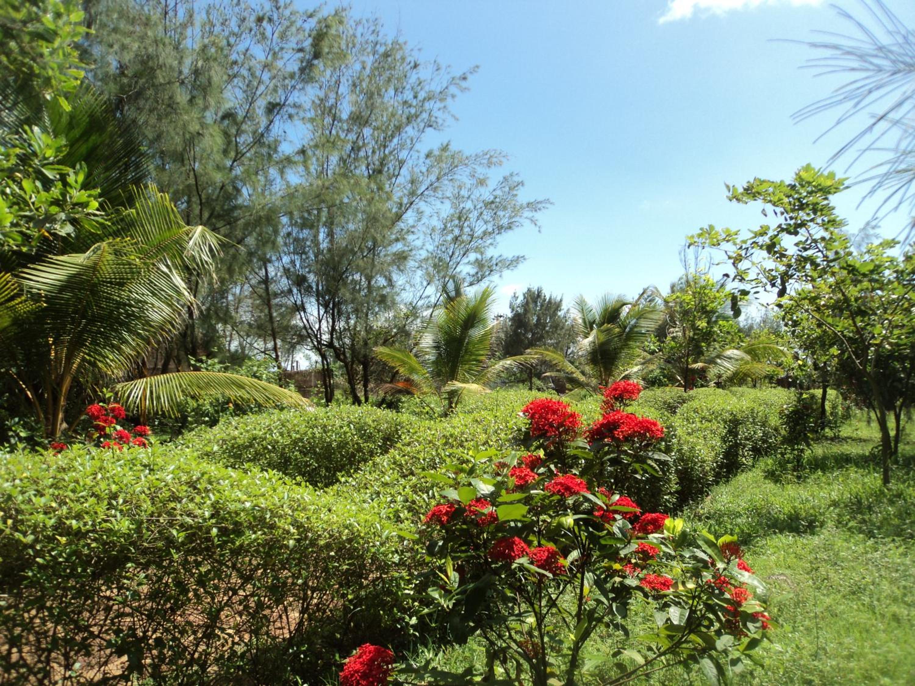 Lotus an Eco Resort Konark