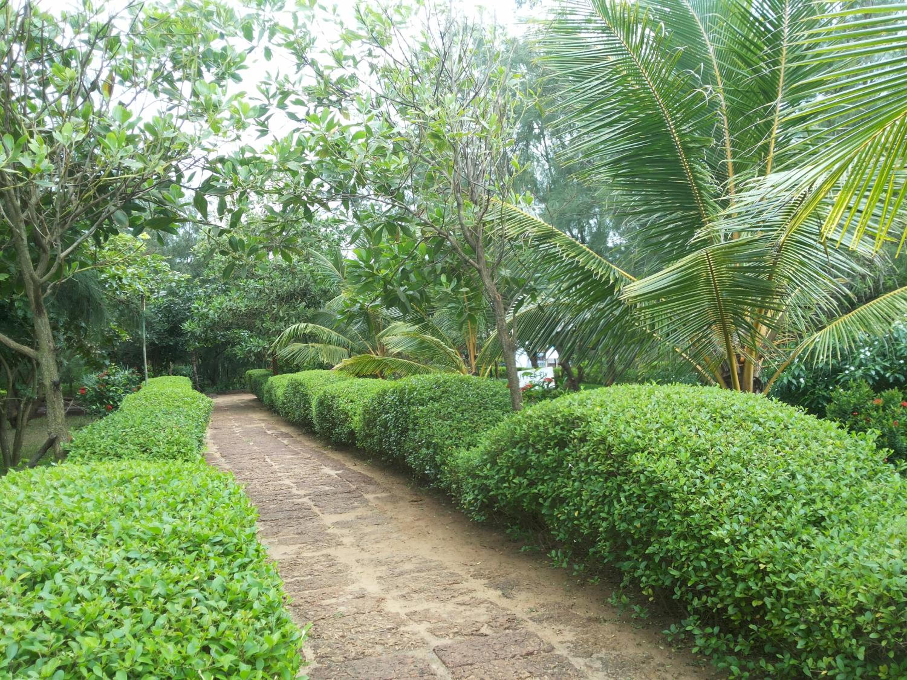 Lotus an Eco Resort Konark
