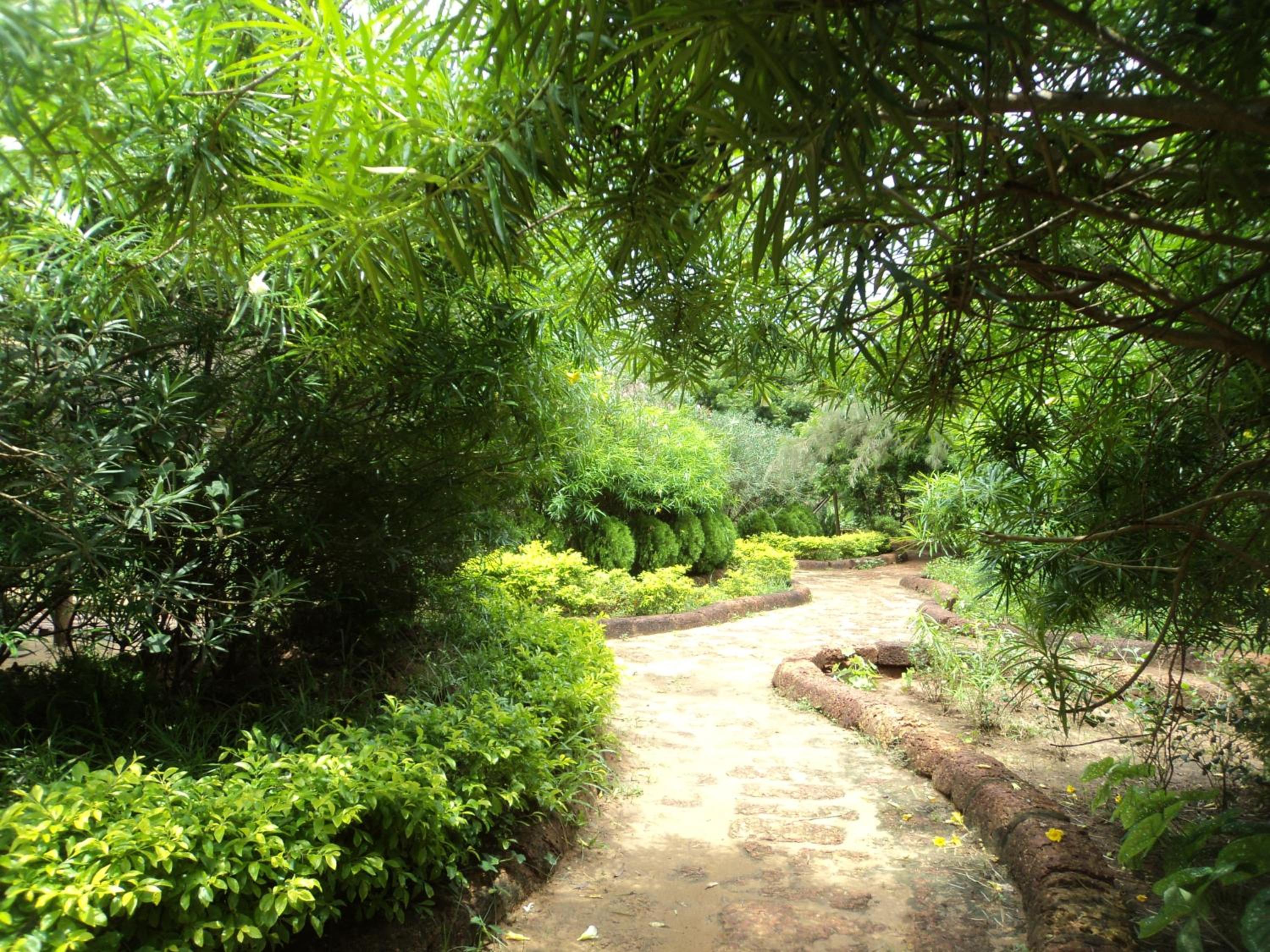 Lotus an Eco Resort Konark