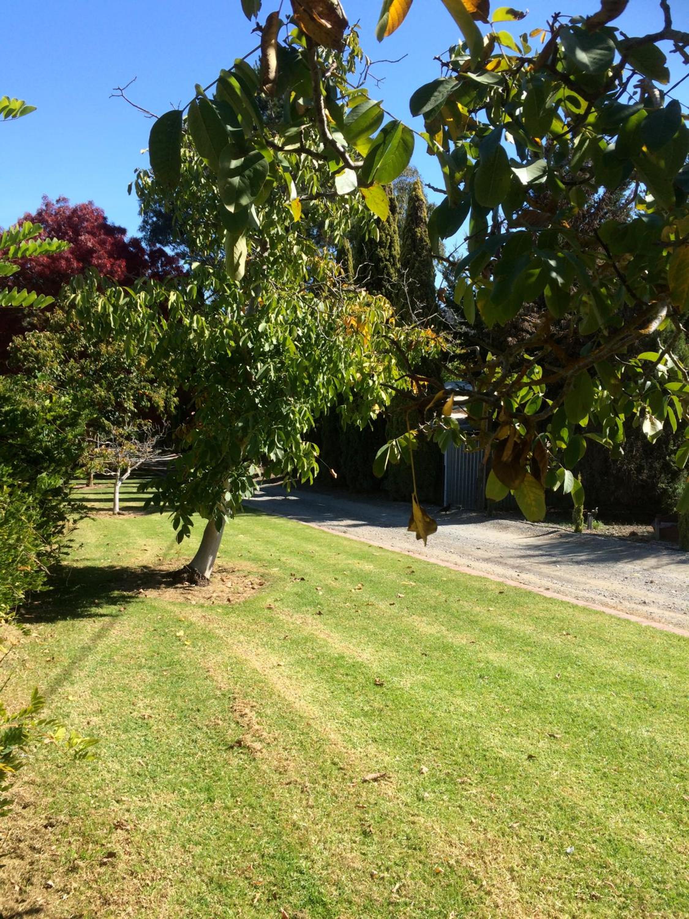 Vineyard Cottage BnB
