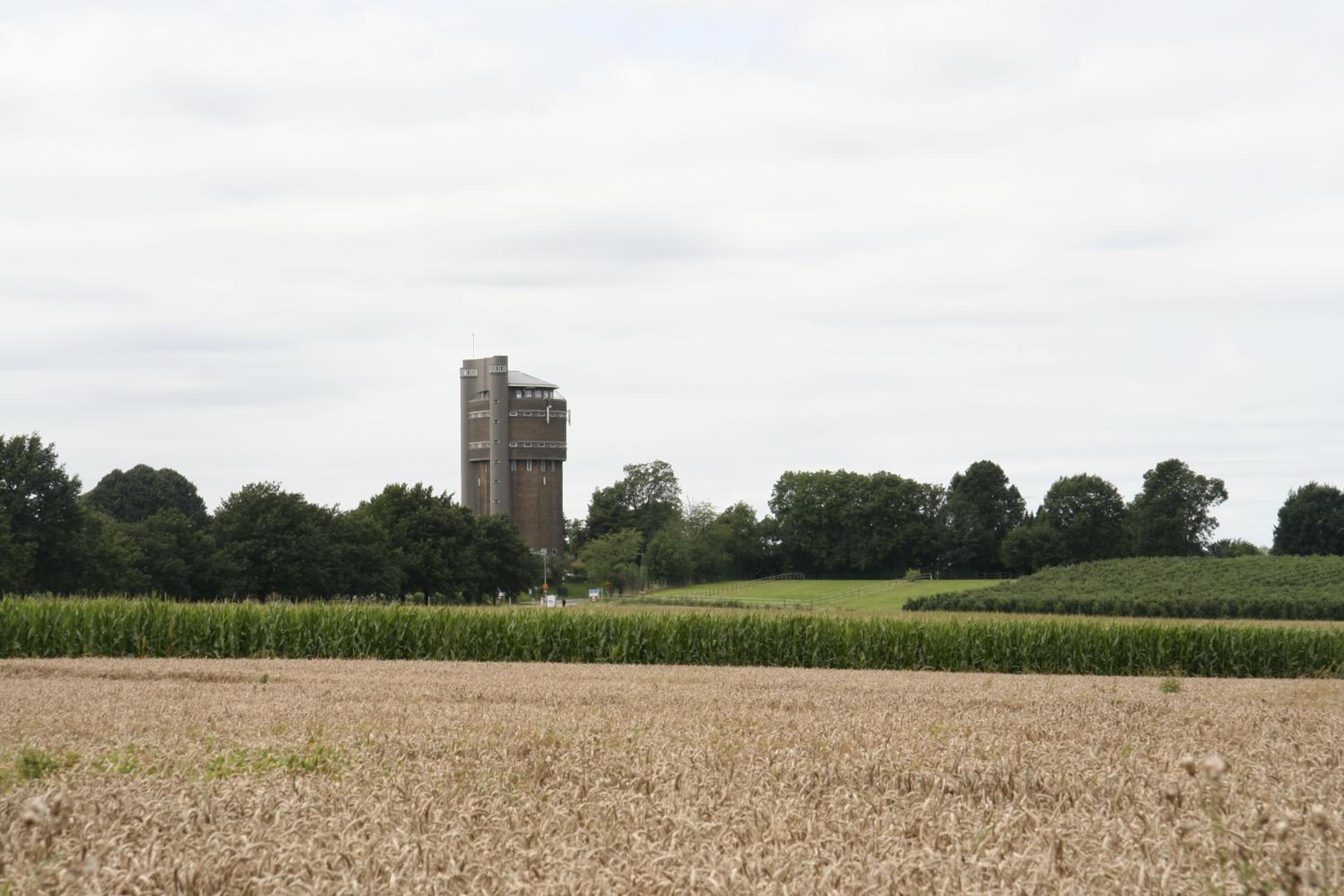 Photo 29